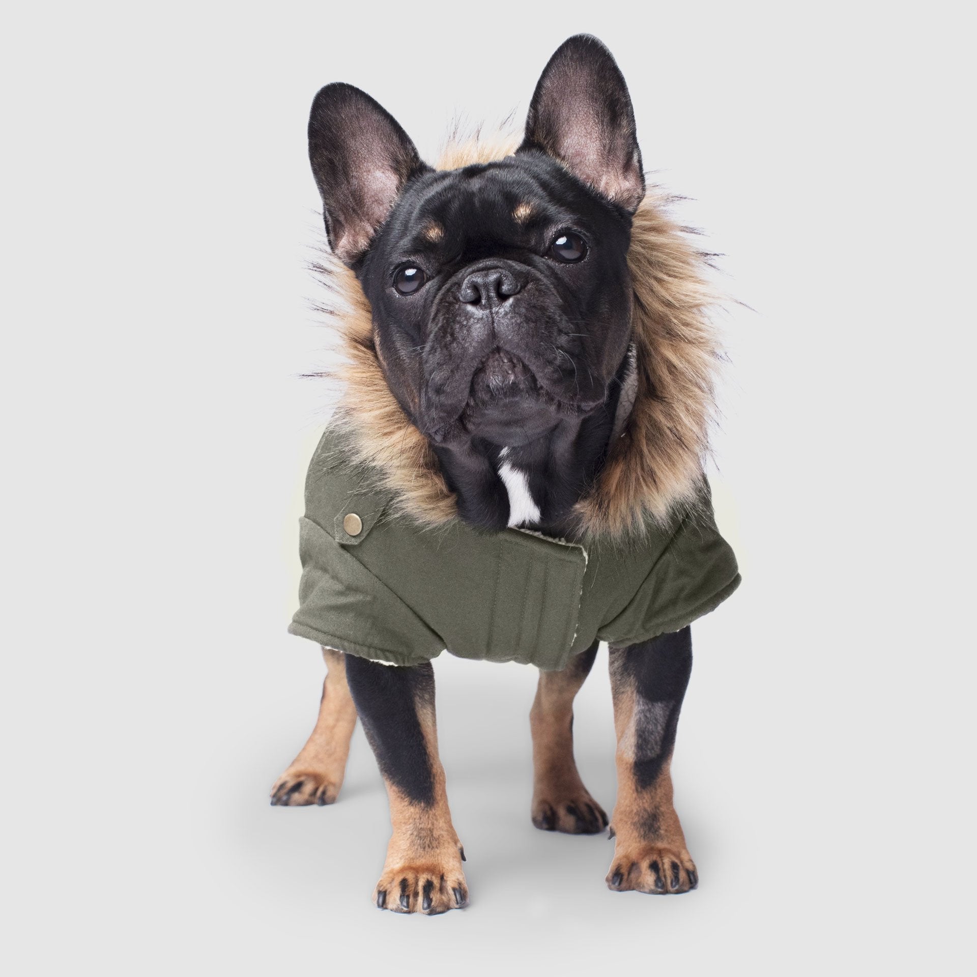 Alaskan Army Parka - UXDL