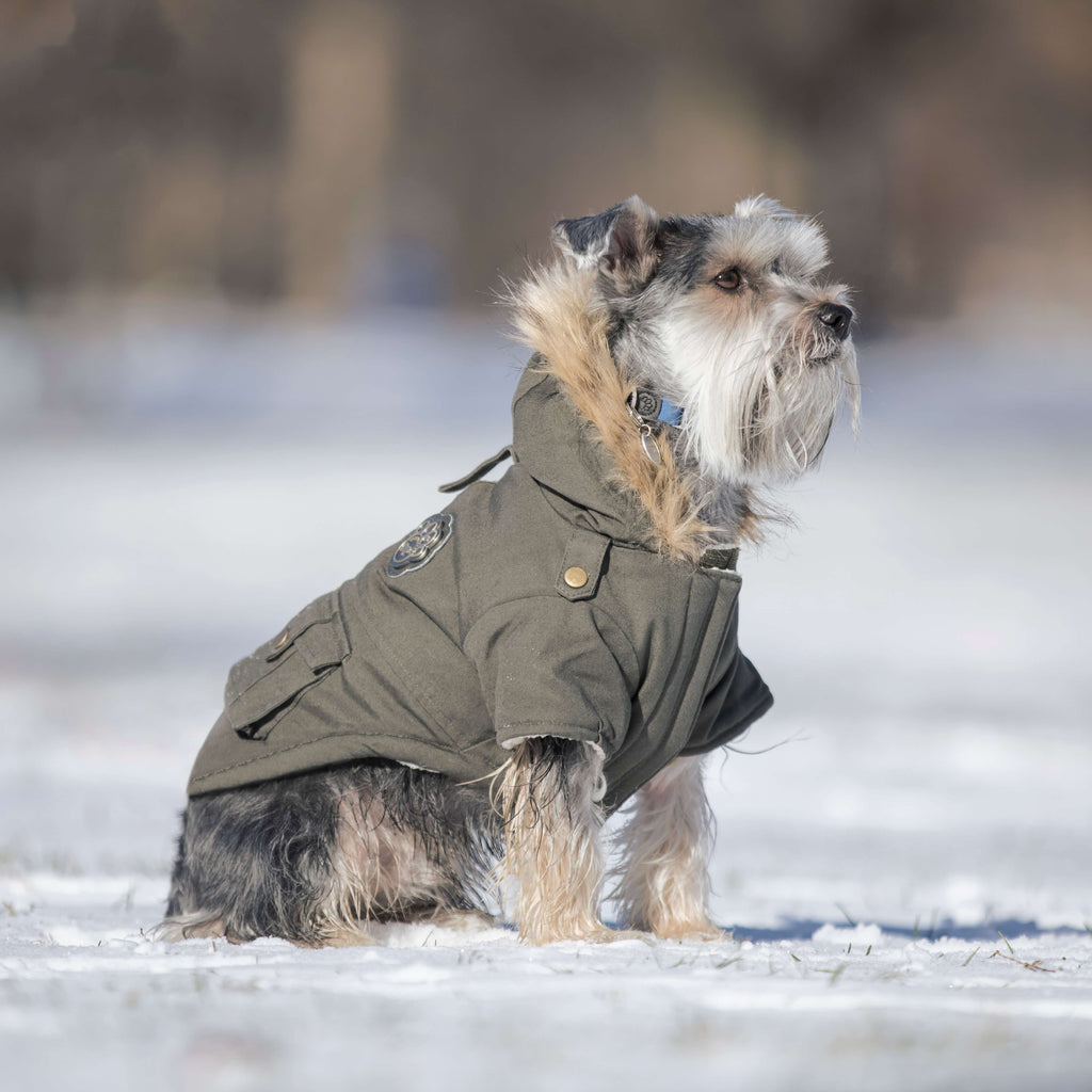 Alaskan Army Parka - UXDL