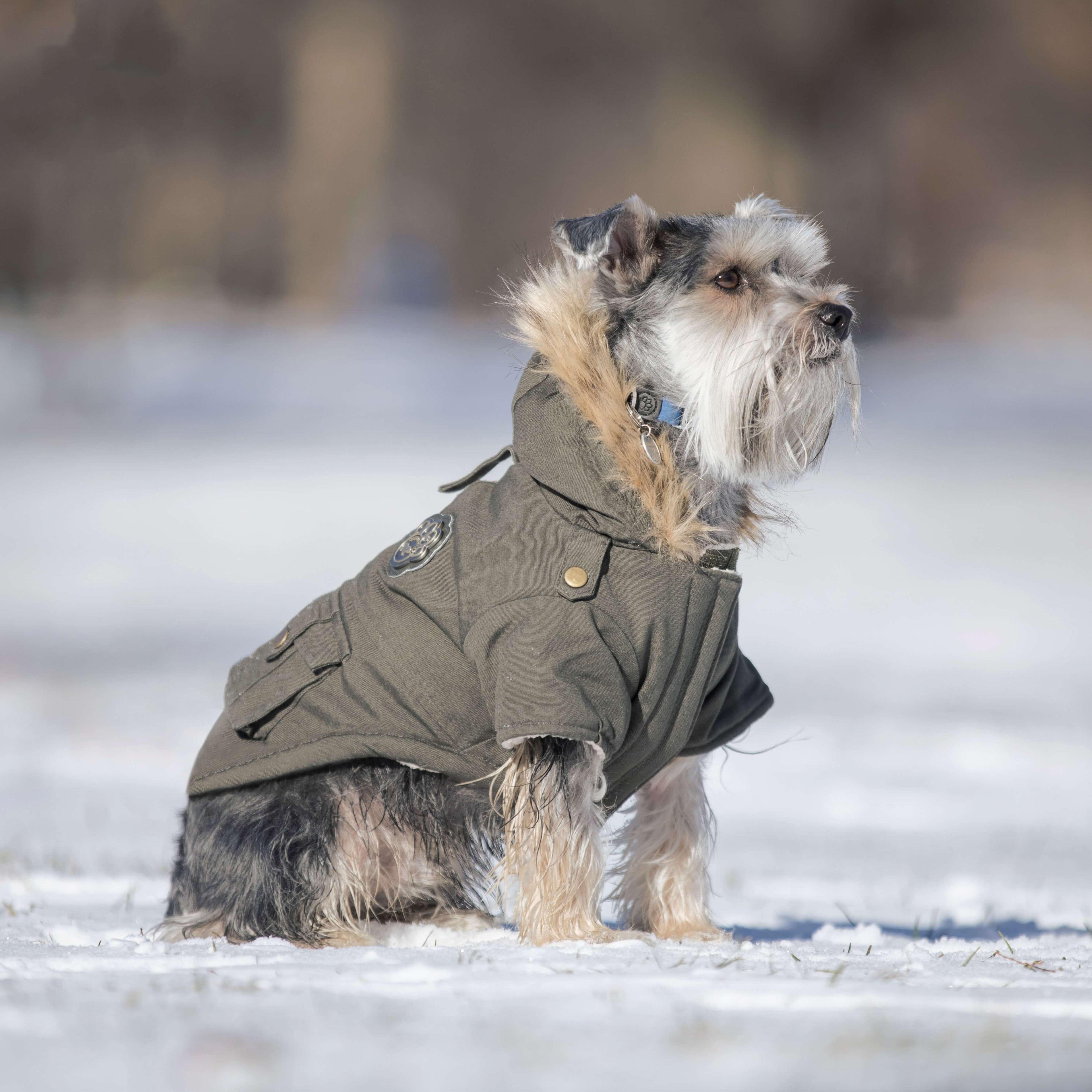 Alaskan Army Parka - UXDL