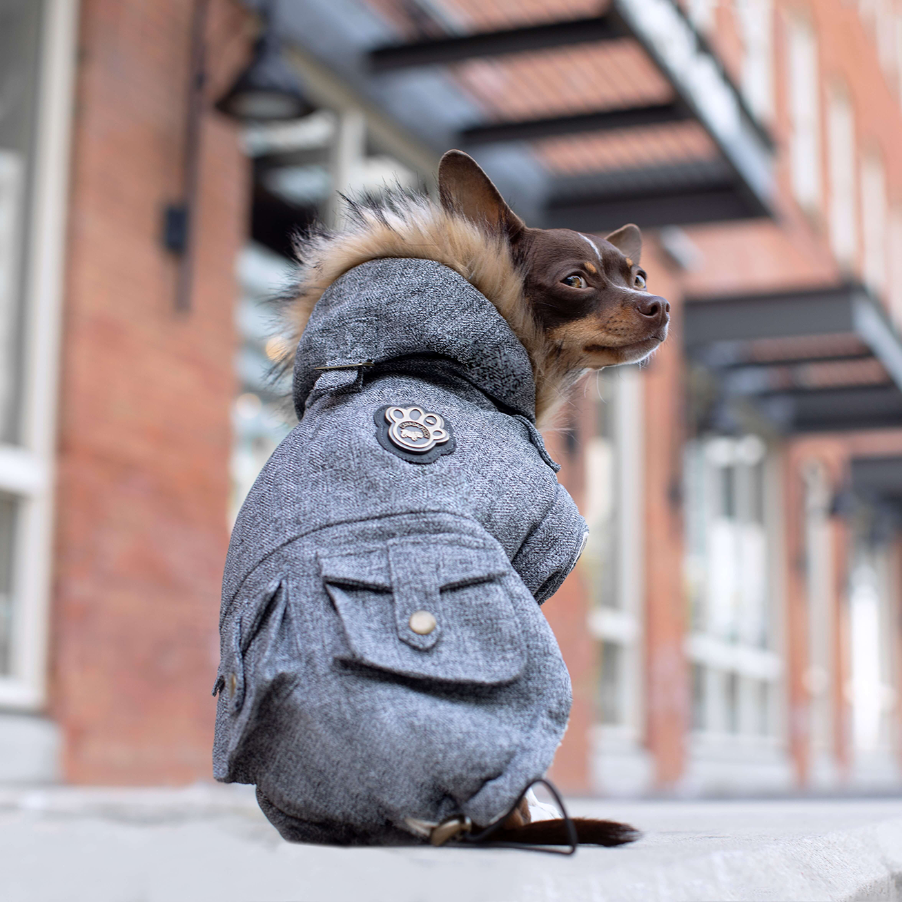 Alaskan Army Parka - UXDL