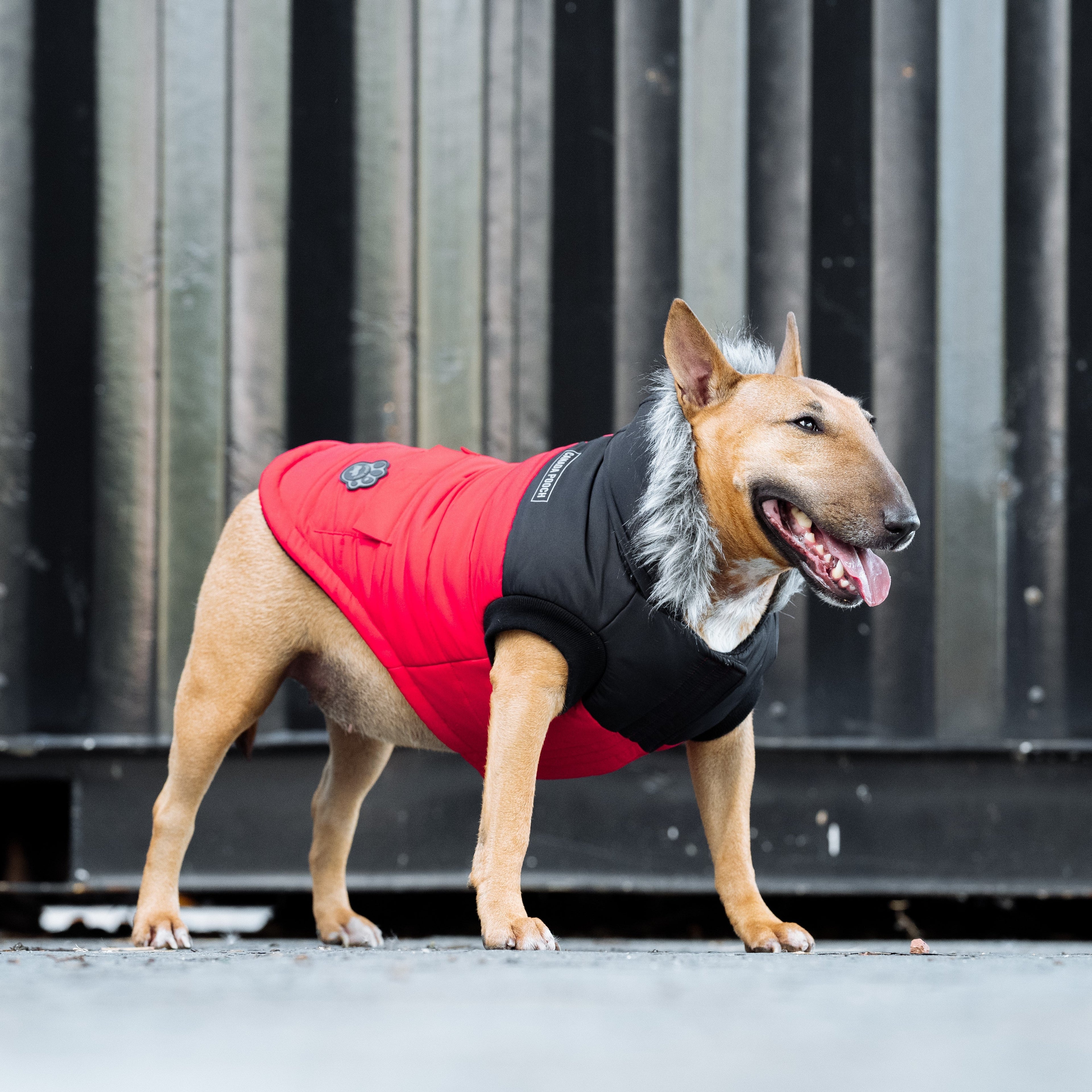 True North Parka - 7A6D