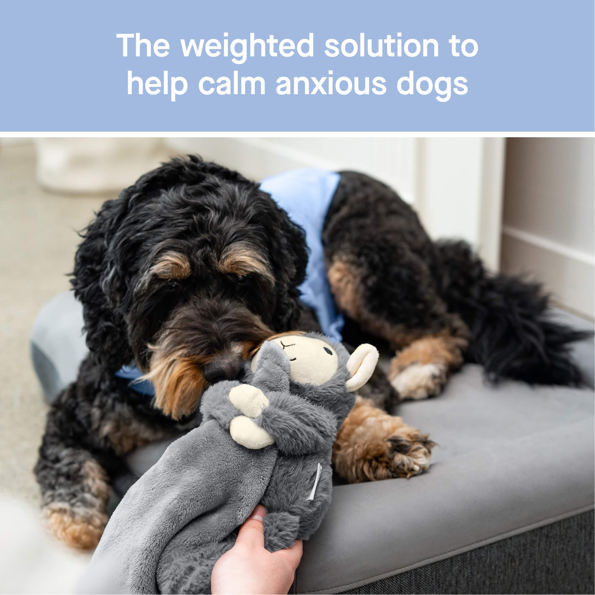 Weighted Calming Toy - MACZ