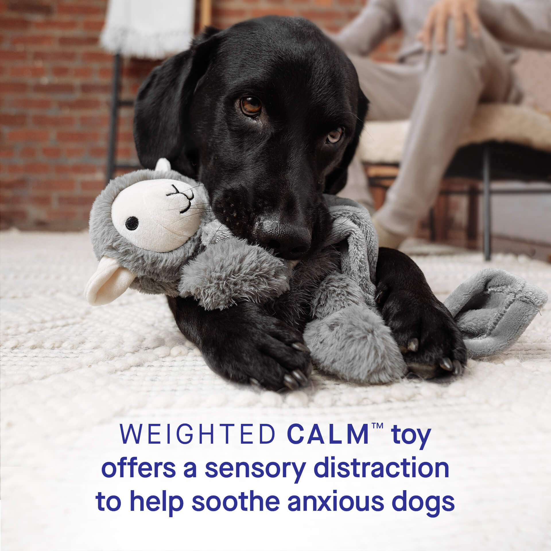 Weighted Calming Toy - MACZ