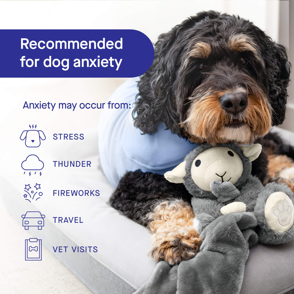 Weighted Calming Toy - MACZ