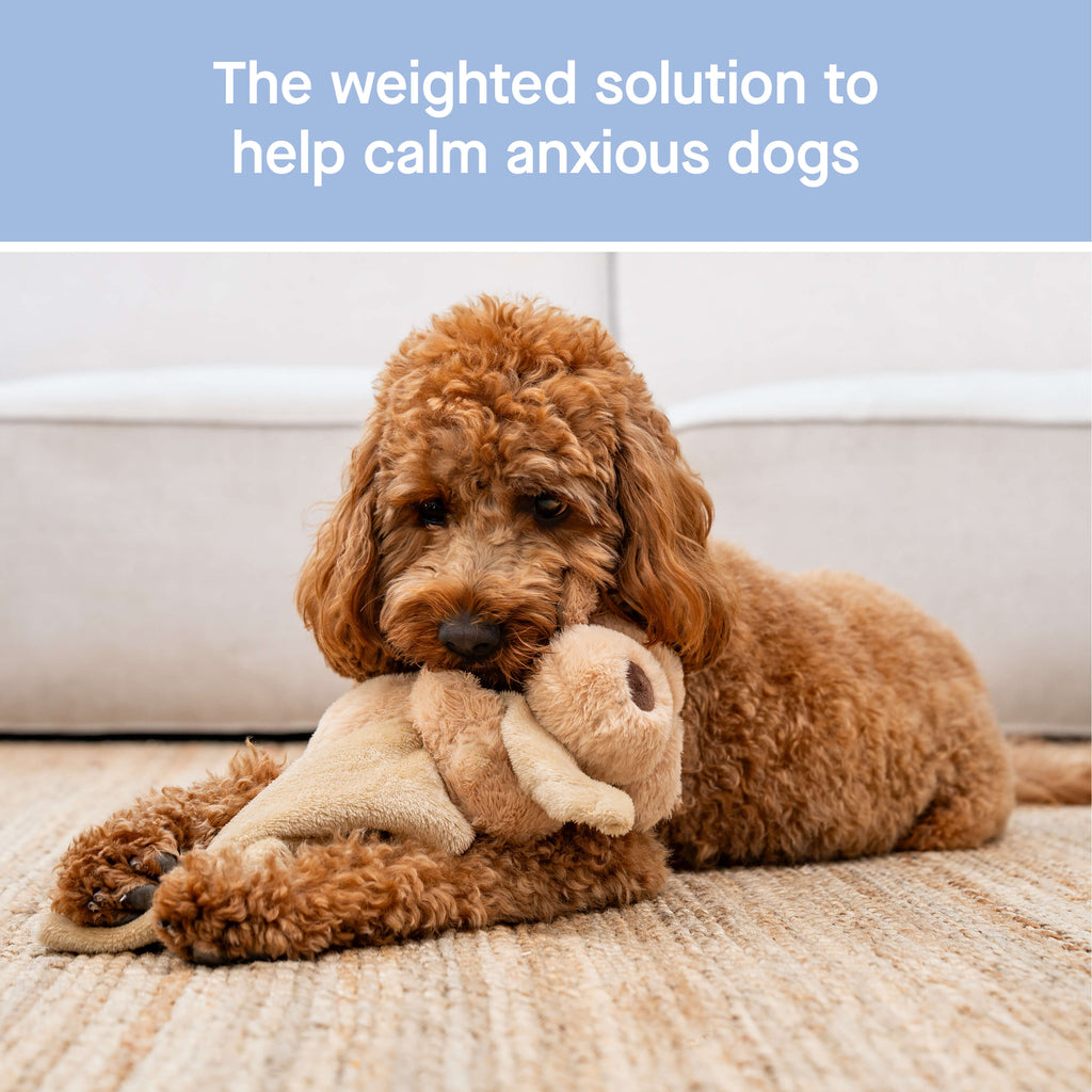 Weighted Calming Toy - MACZ