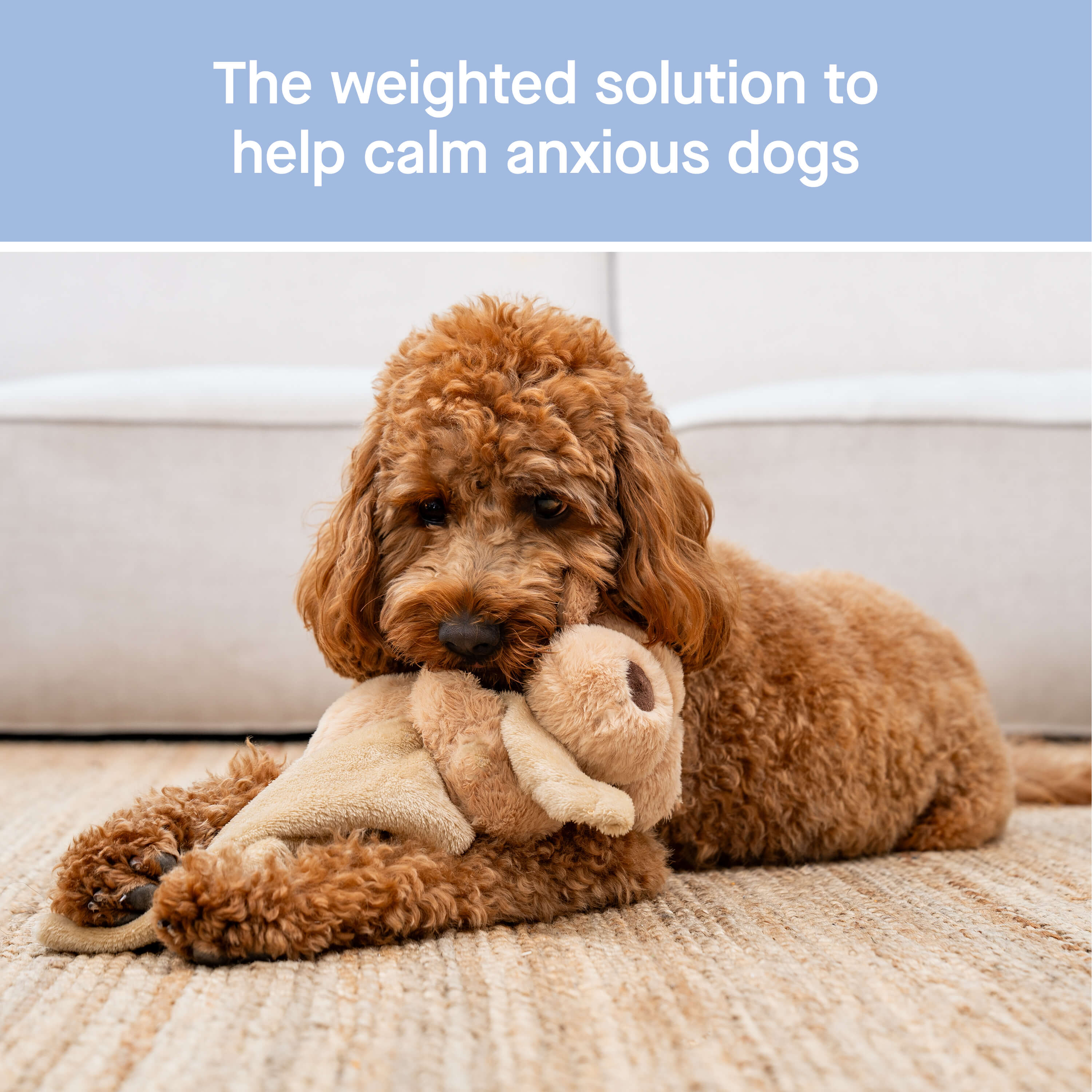 Weighted Calming Toy - MACZ