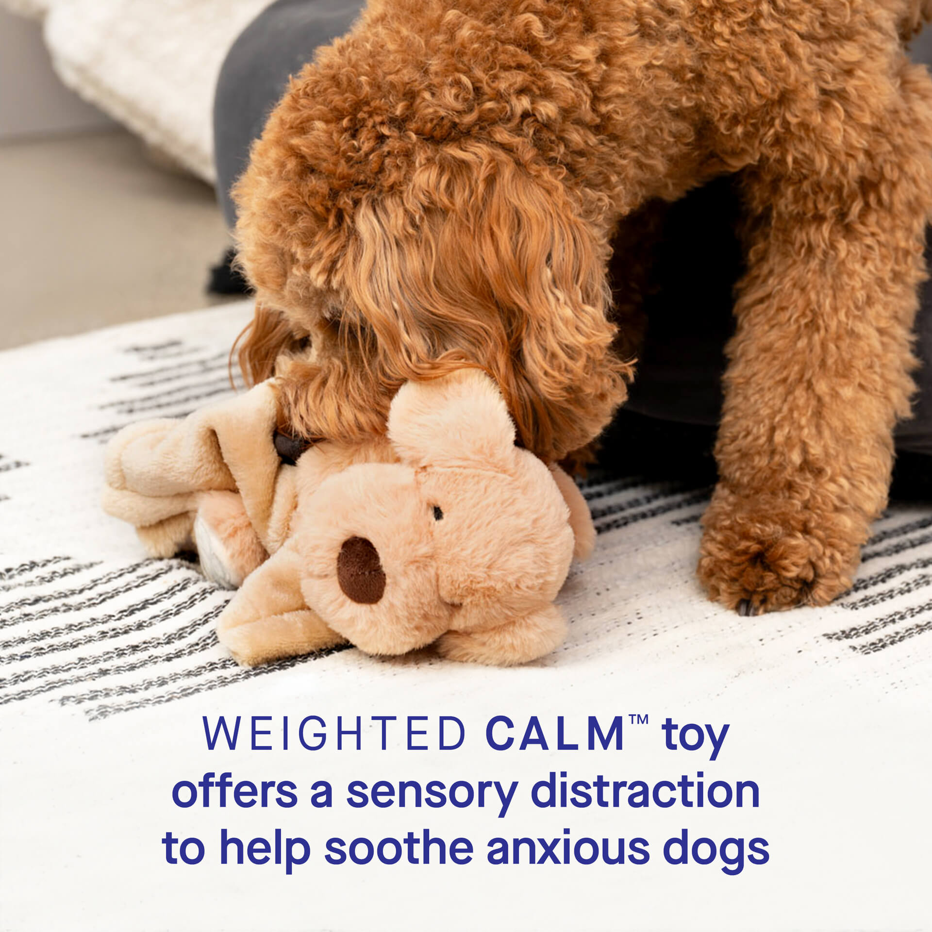 Weighted Calming Toy - MACZ