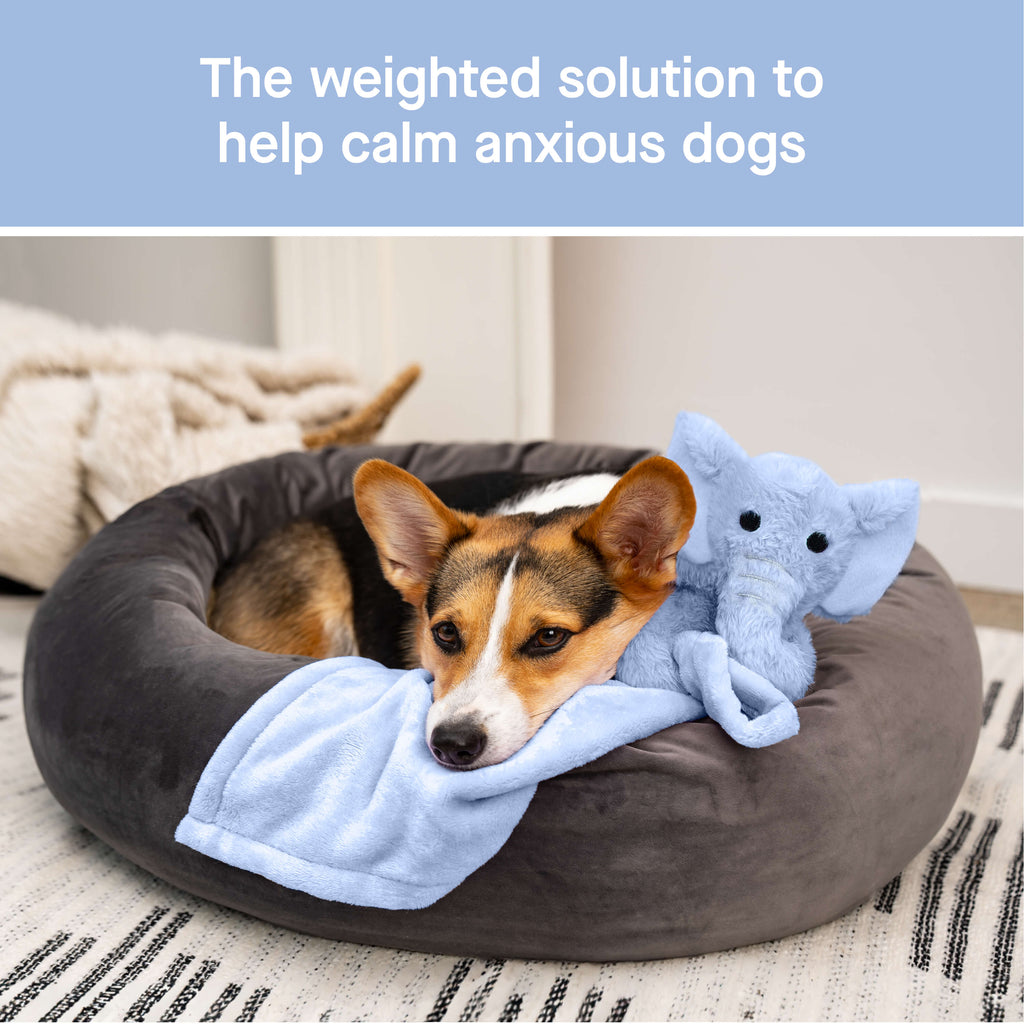 Weighted Calming Toy - MACZ