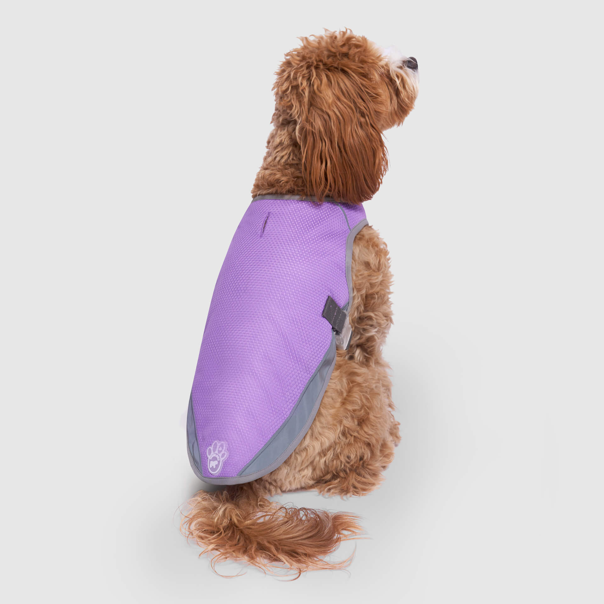 Chill Seeker Cooling Vest Wet Reveal - Y82W
