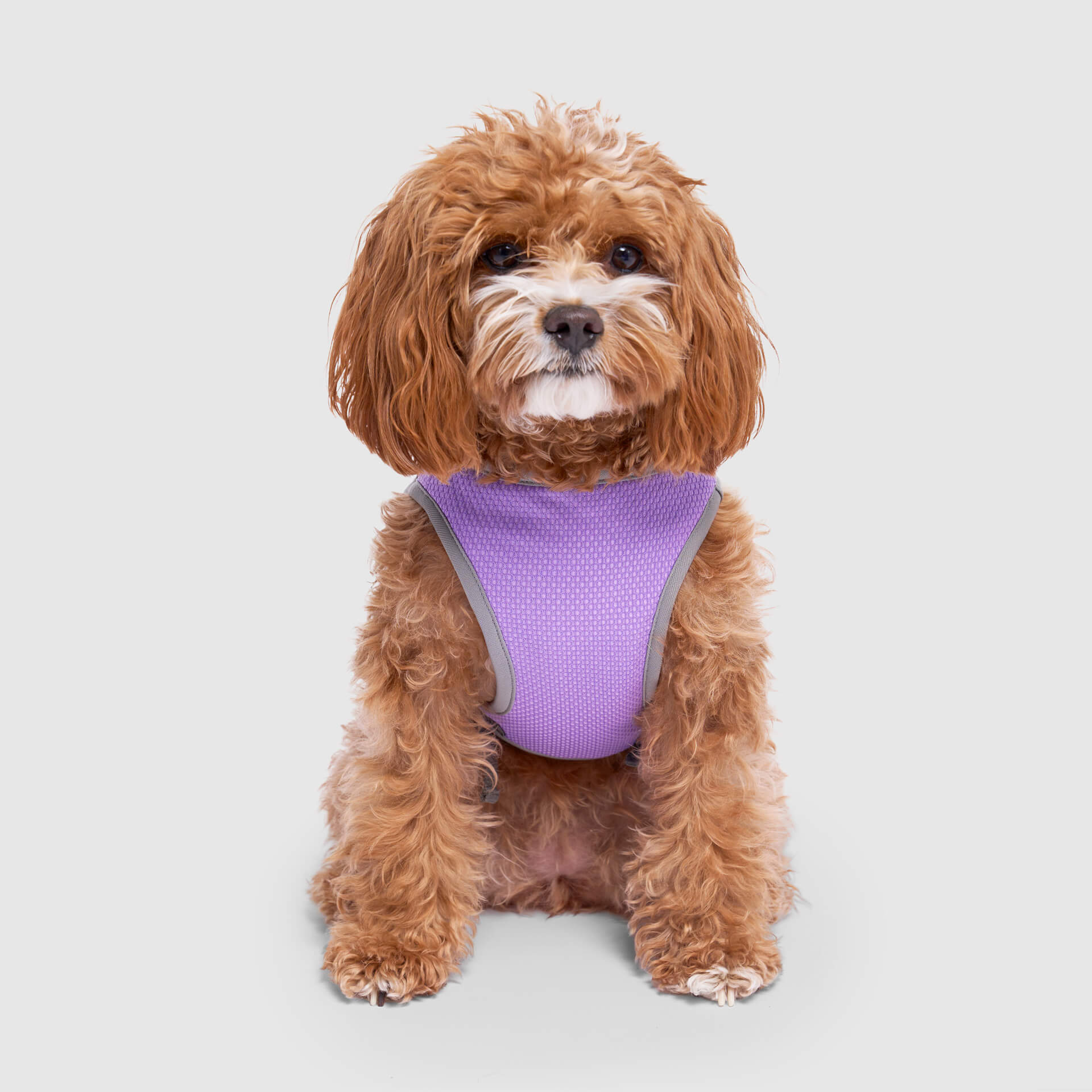Chill Seeker Cooling Vest Wet Reveal - Y82W