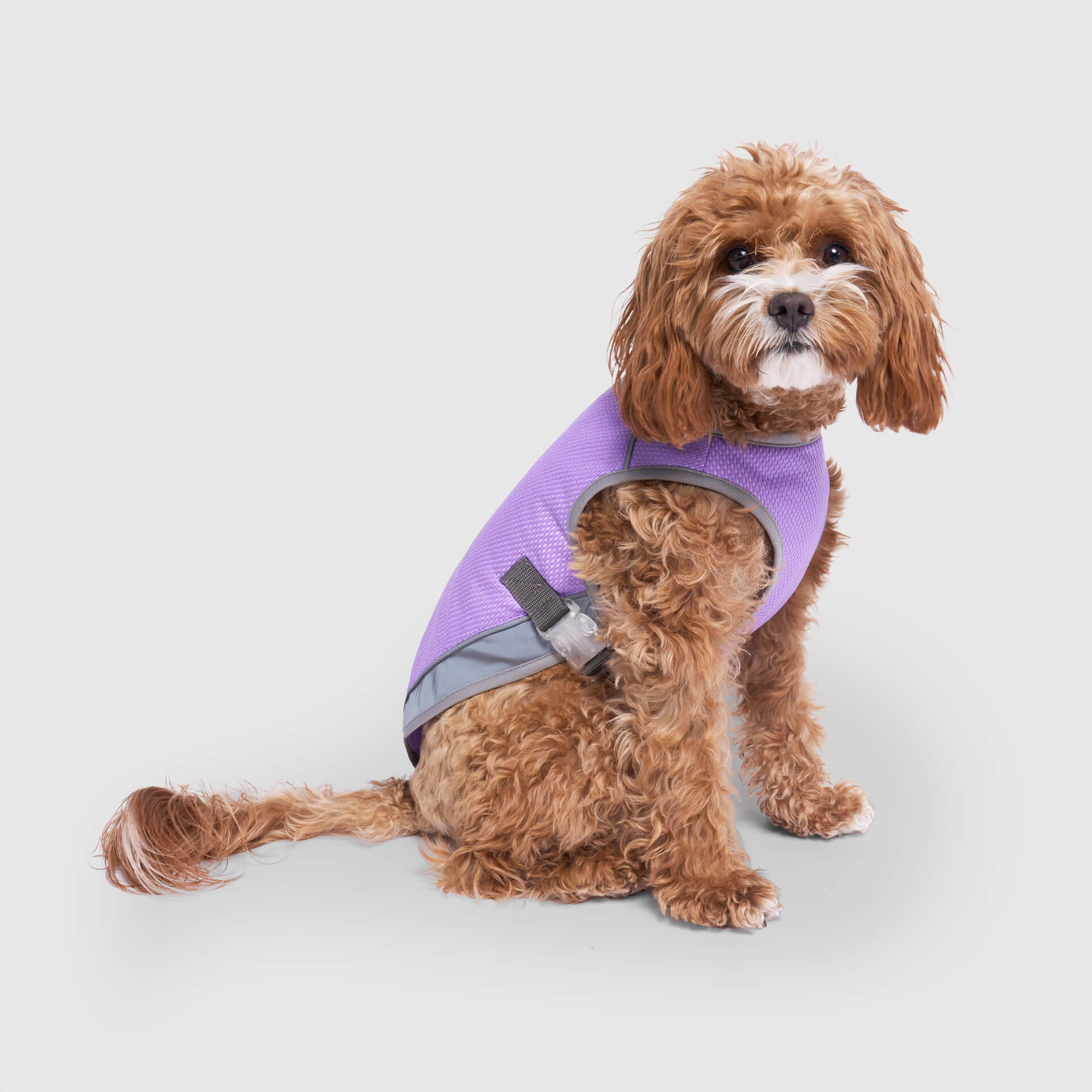 Chill Seeker Cooling Vest Wet Reveal - Y82W