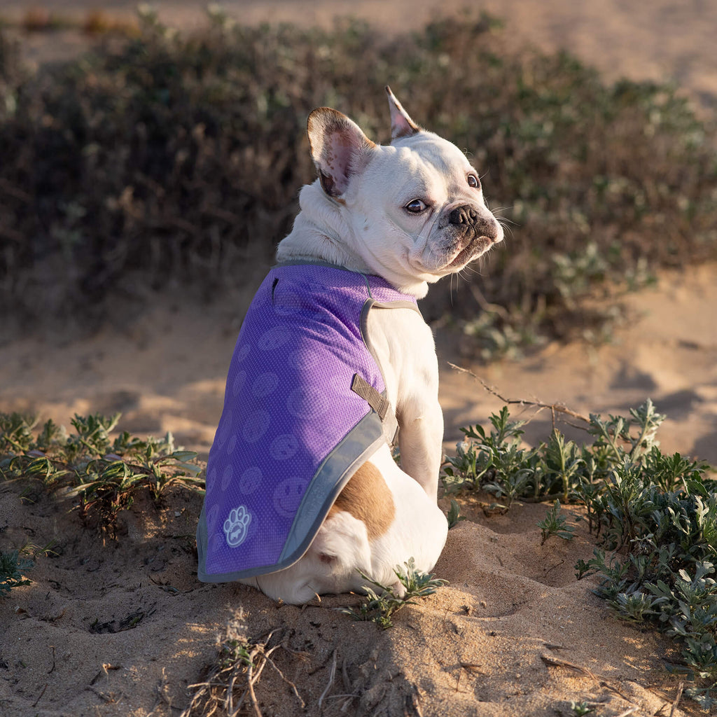 Chill Seeker Cooling Vest Wet Reveal - Y82W