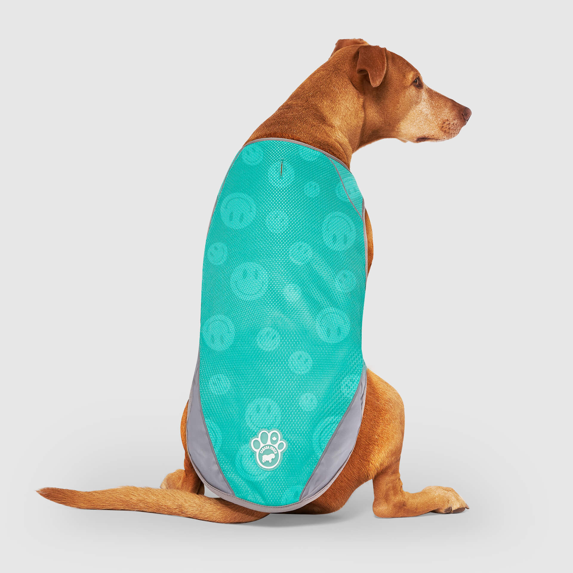 Chill Seeker Cooling Vest Wet Reveal - Y82W