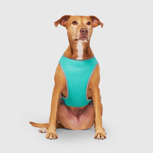 Chill Seeker Cooling Vest Wet Reveal - Y82W