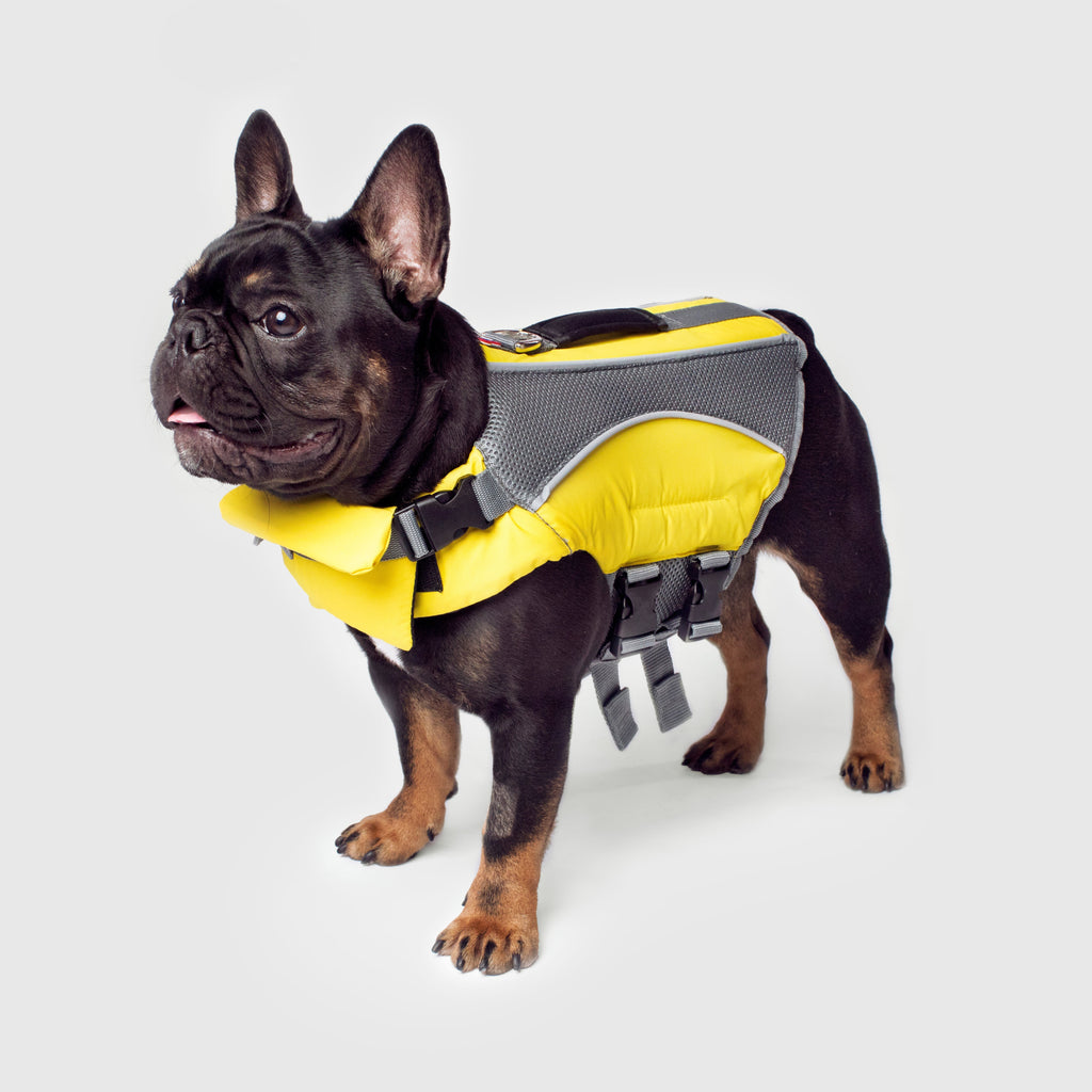 Wave Rider Life Jacket - IMUP