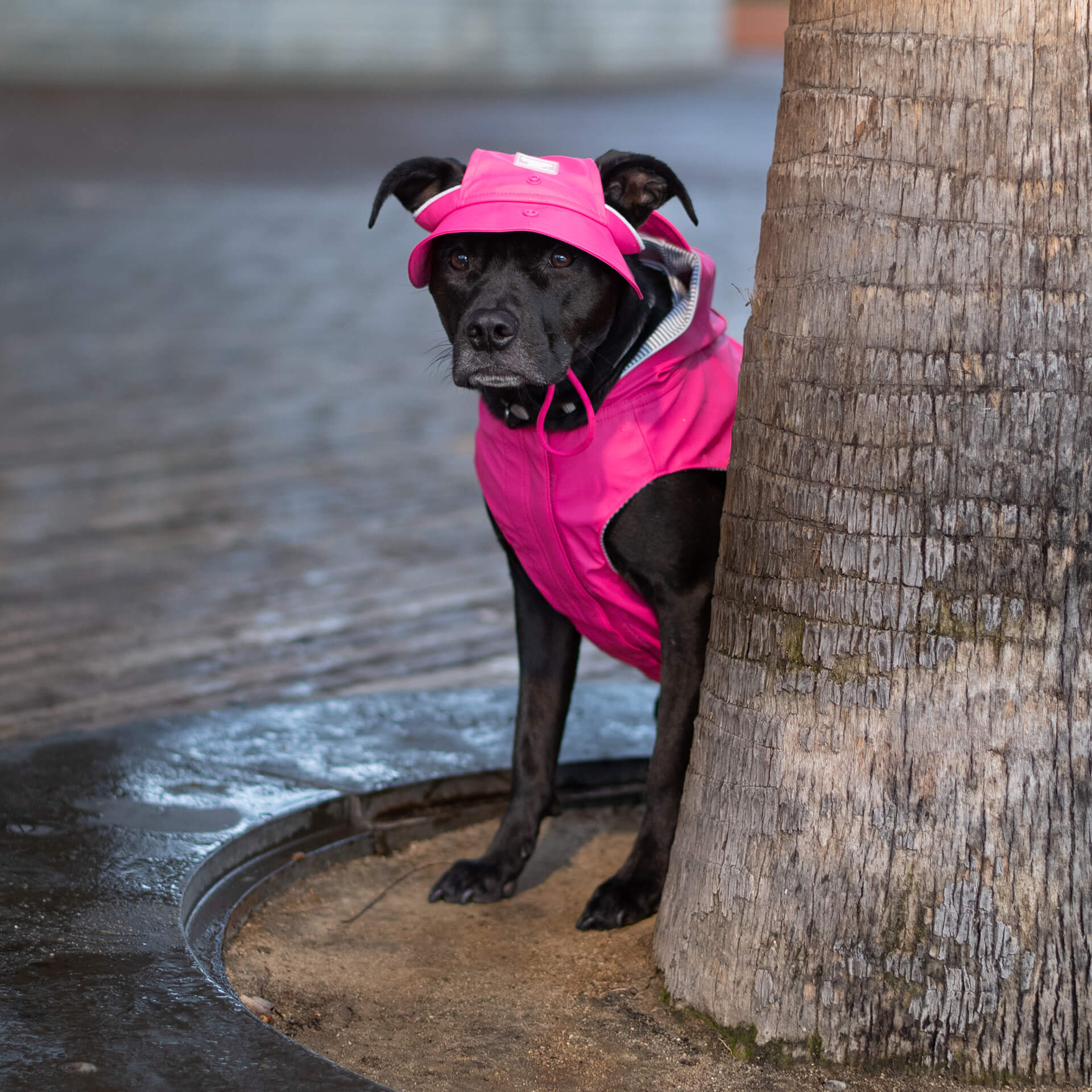 Torrential Tracker Rain Hat - FFPS