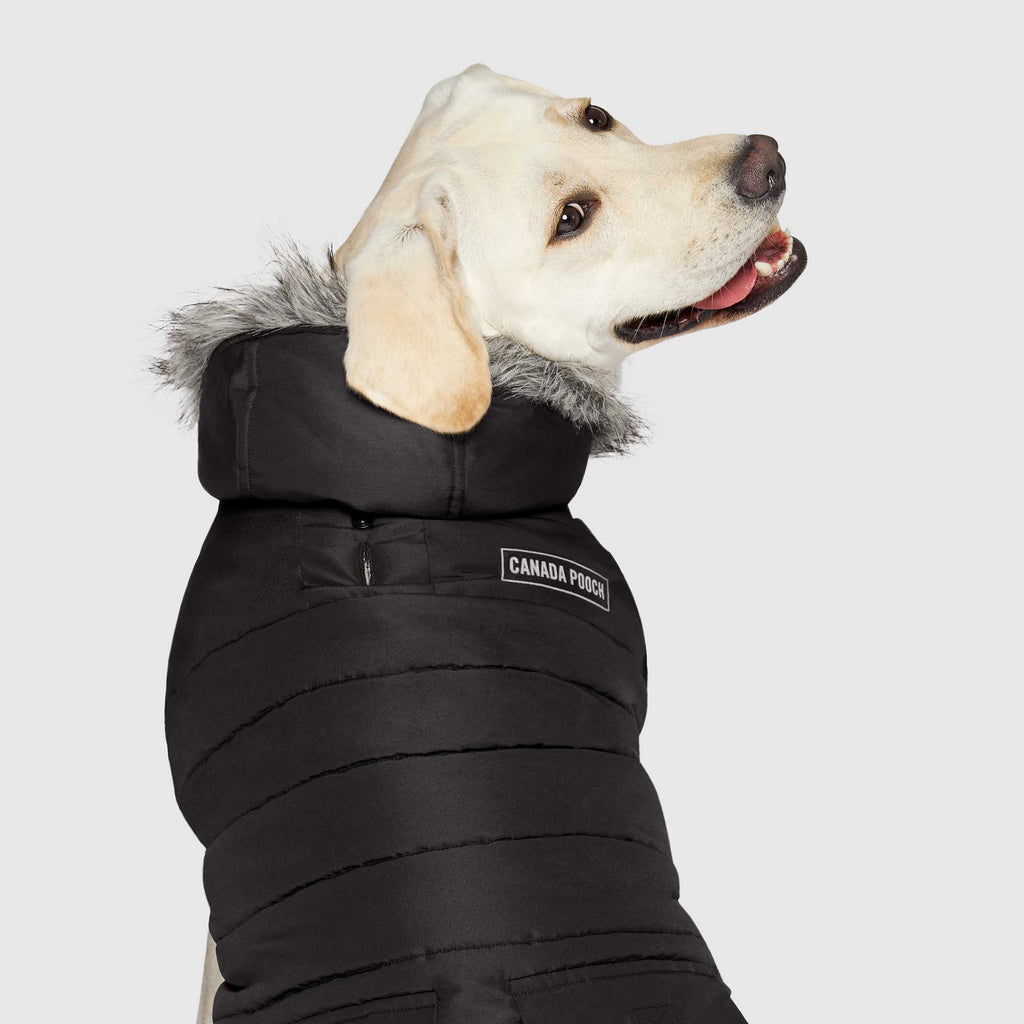 True North Parka - 7A6D