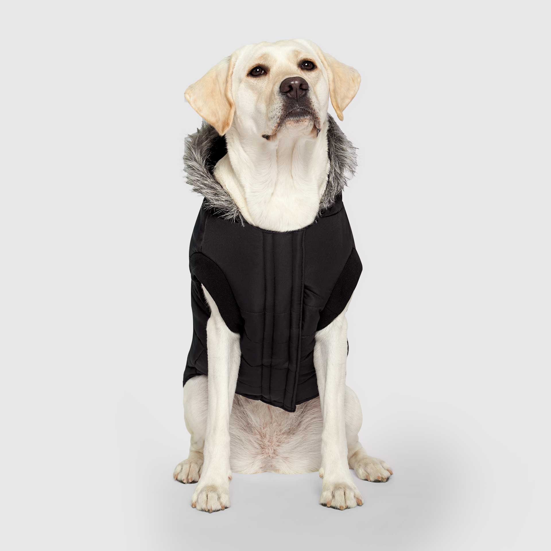 True North Parka - 7A6D