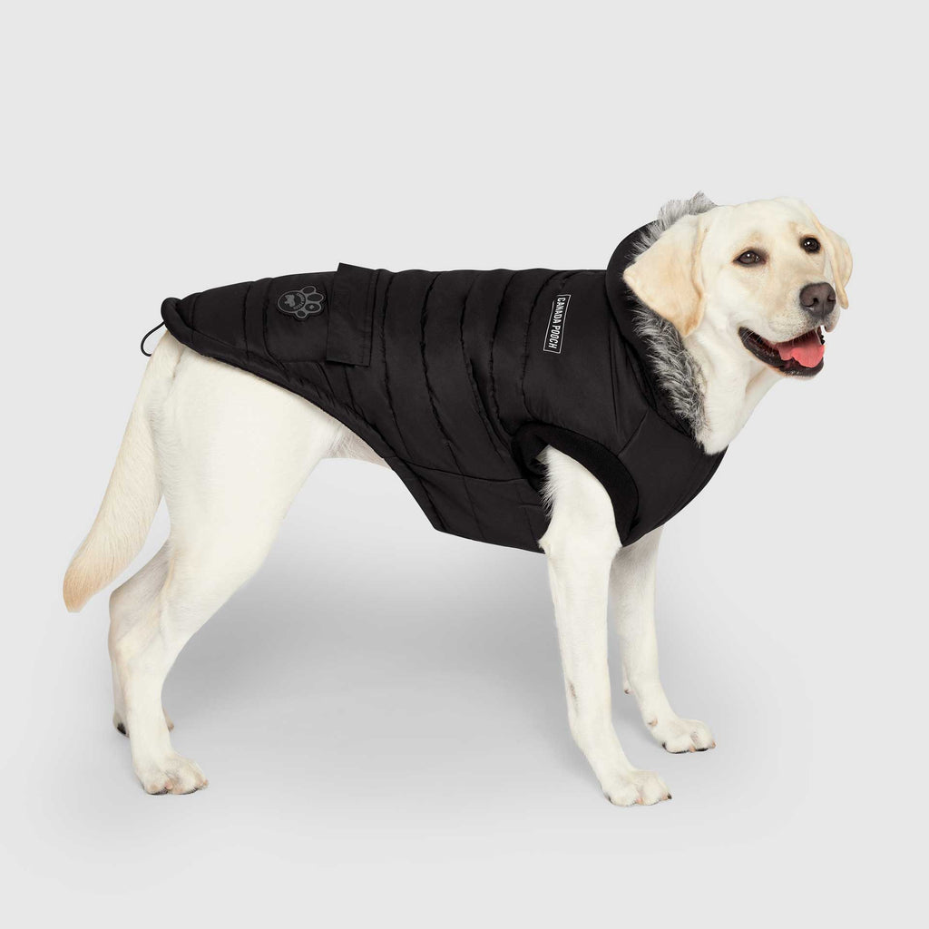 True North Parka - 7A6D
