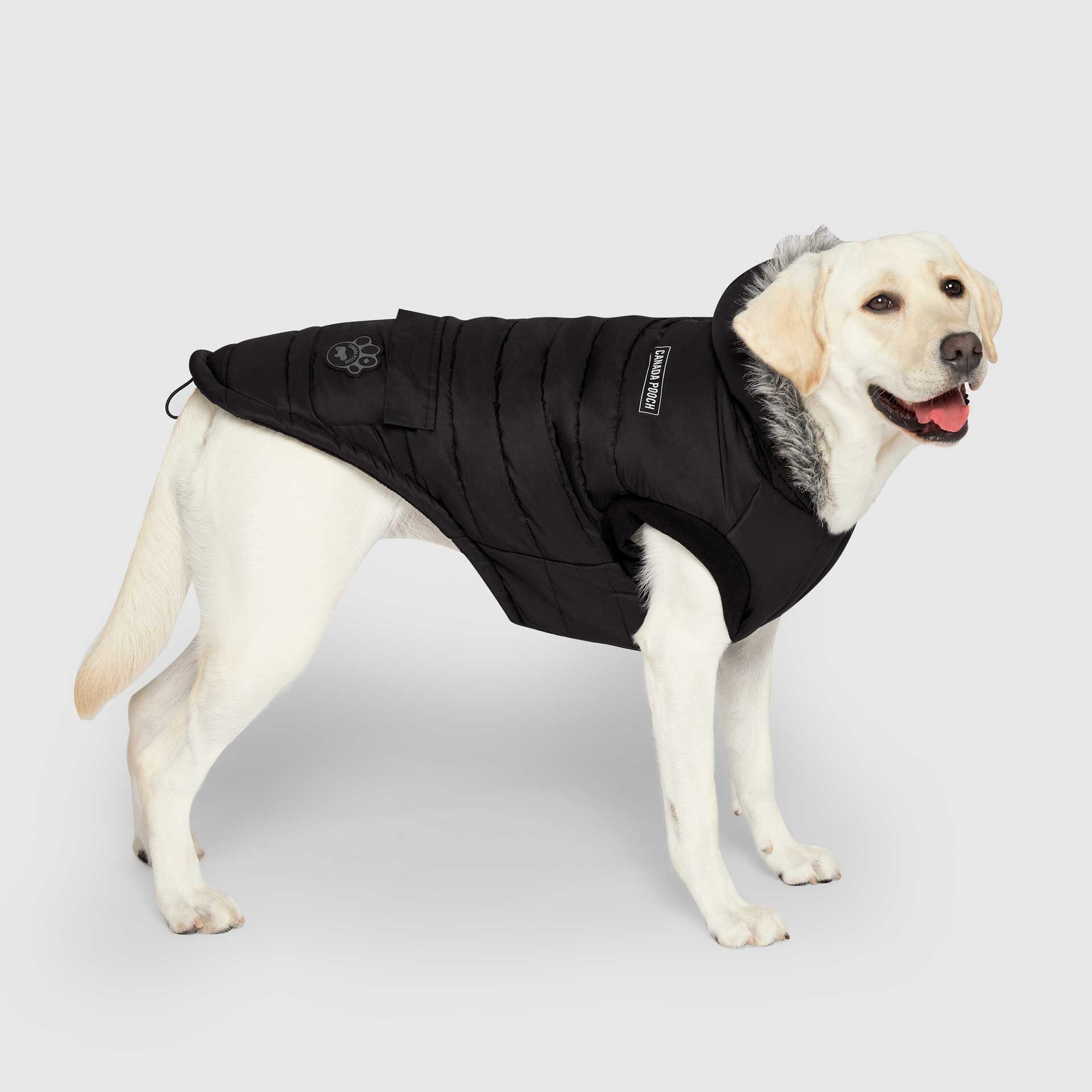 True North Parka - 7A6D