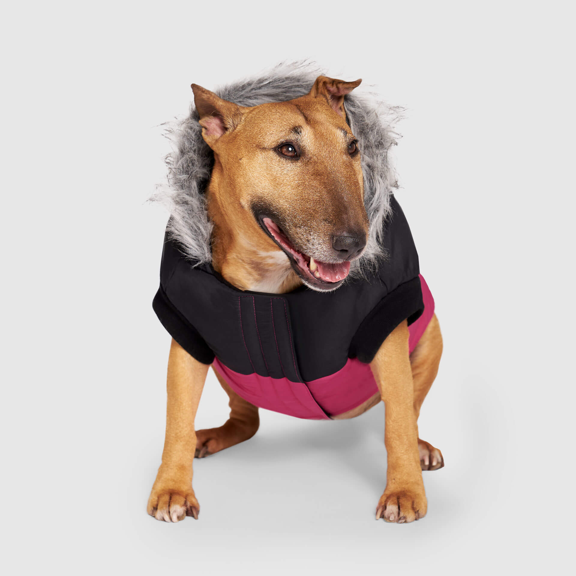 True North Parka - 7A6D