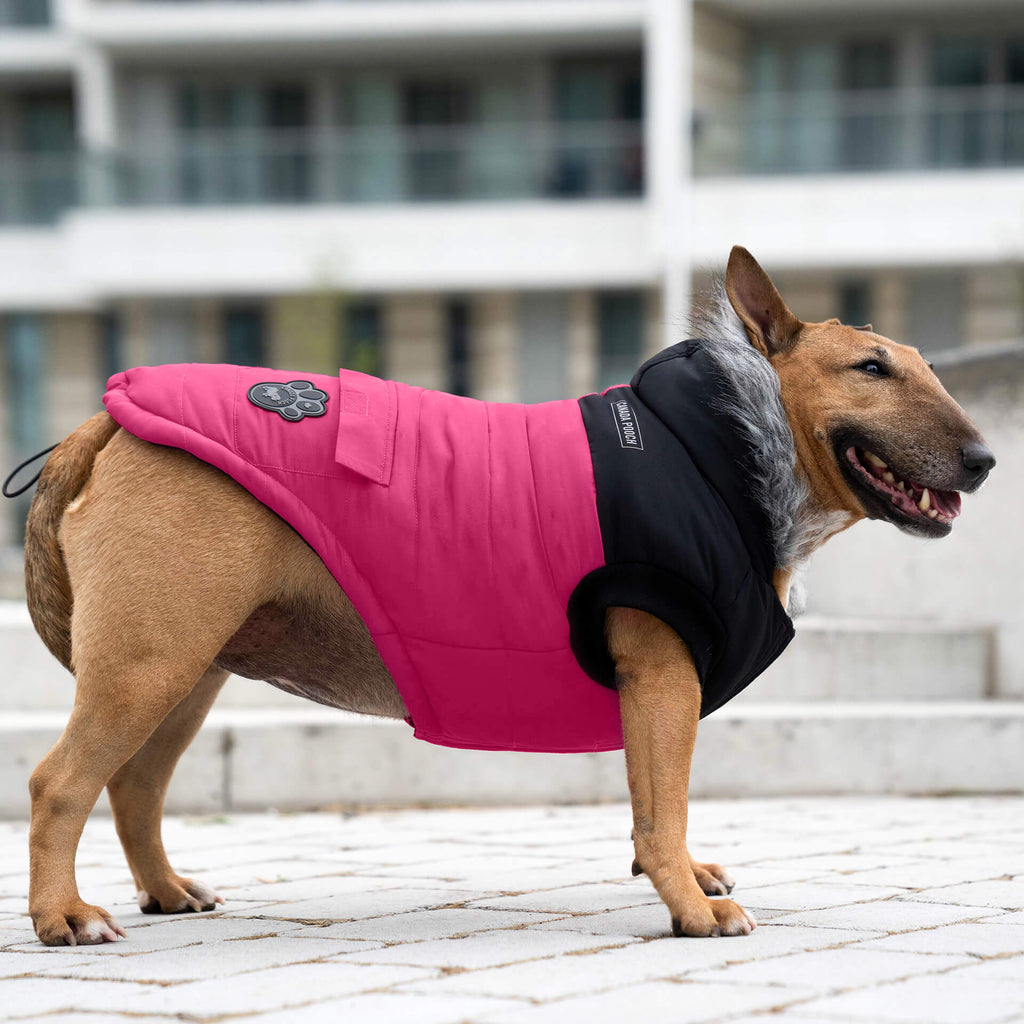 True North Parka - 7A6D