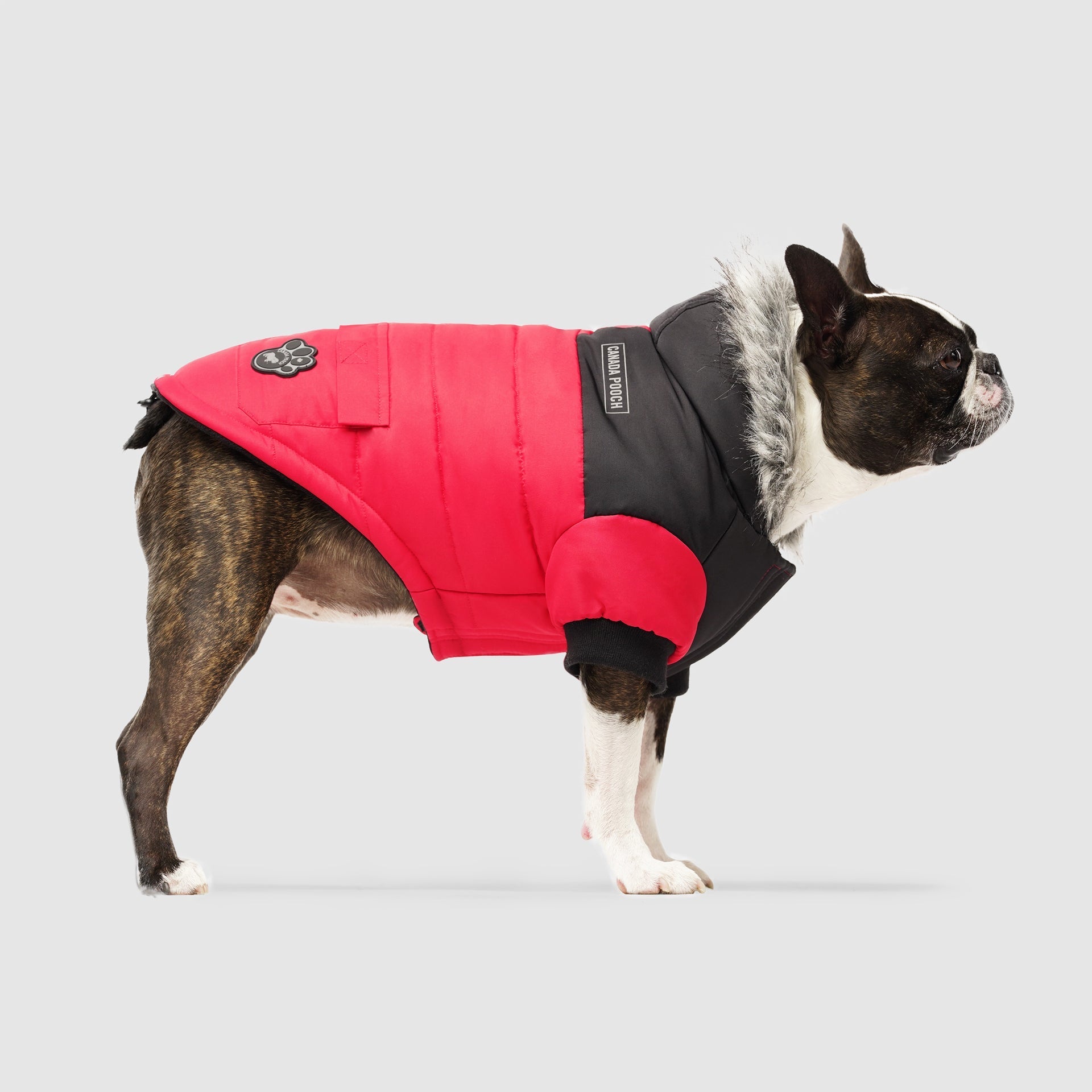 True North Parka - 7A6D
