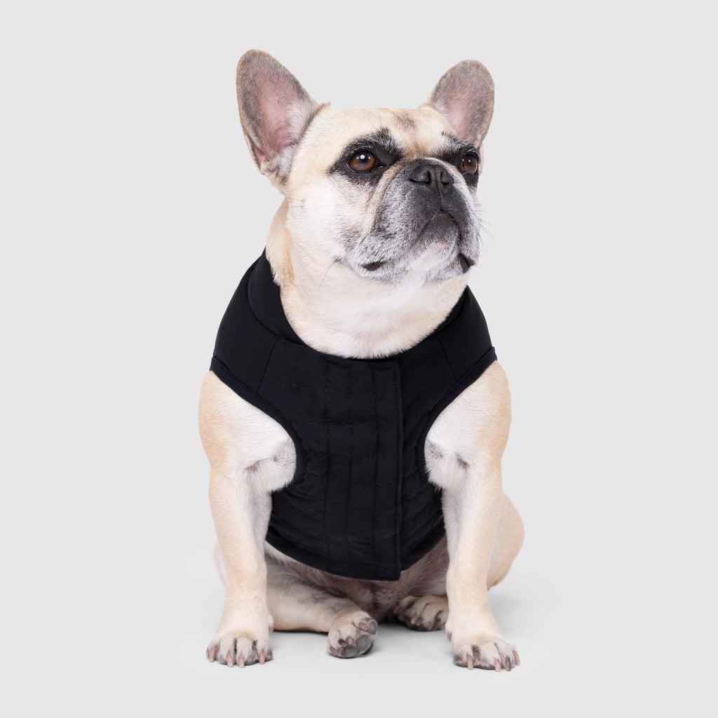 Ultimate Stretch Vest - W1Y1