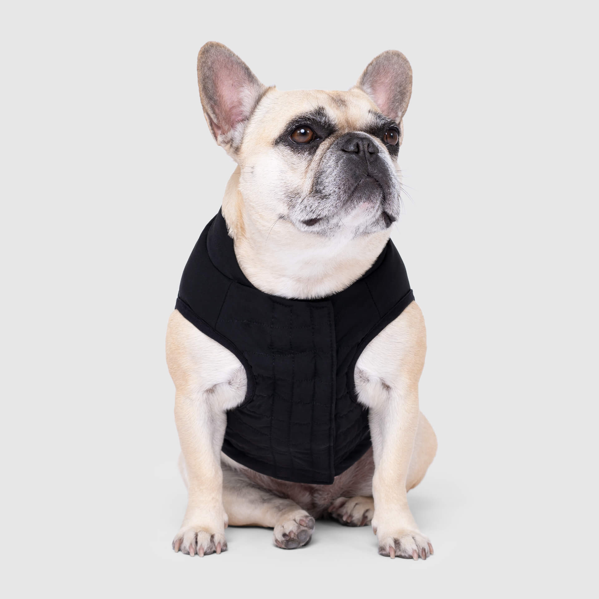 Ultimate Stretch Vest - W1Y1