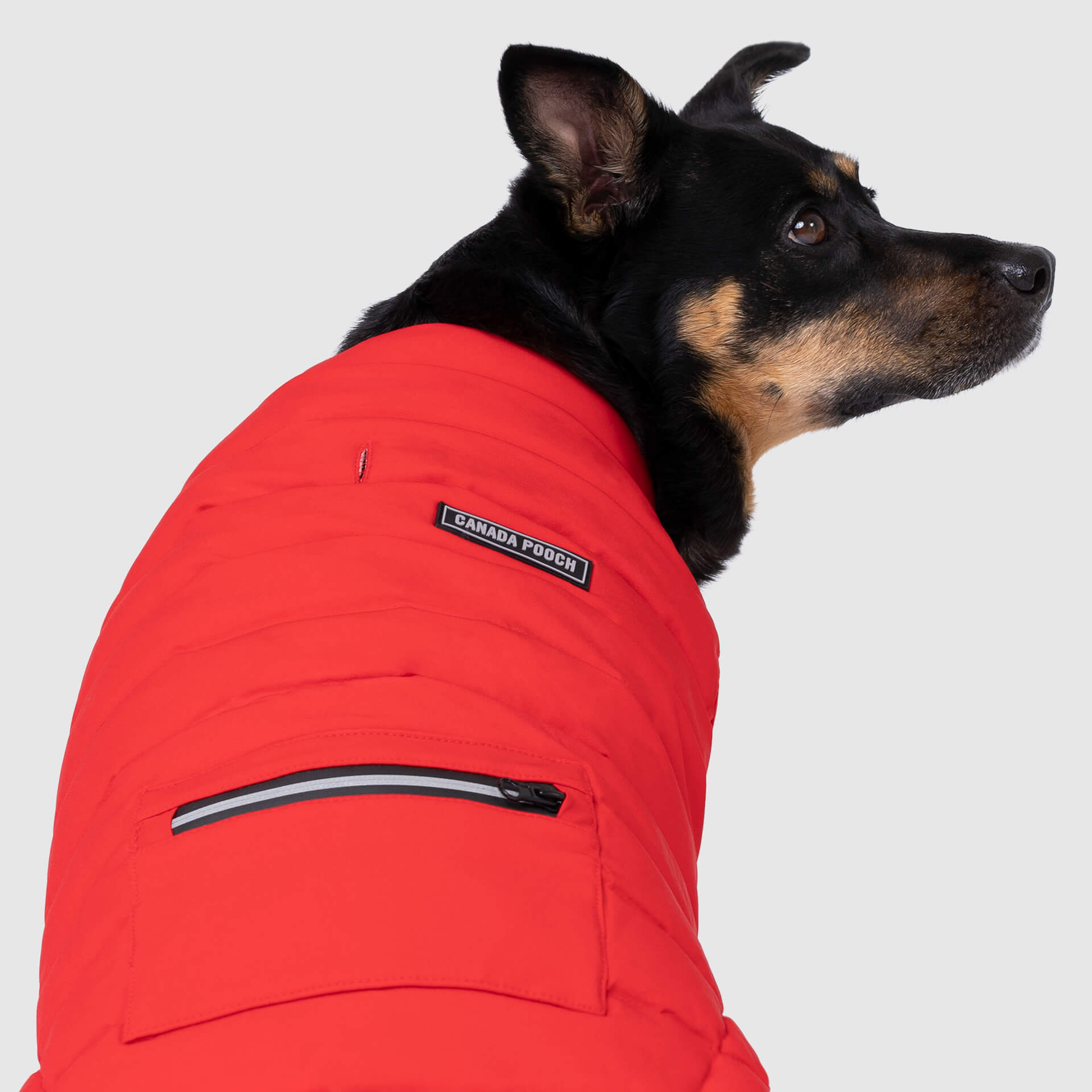 Ultimate Stretch Vest - W1Y1