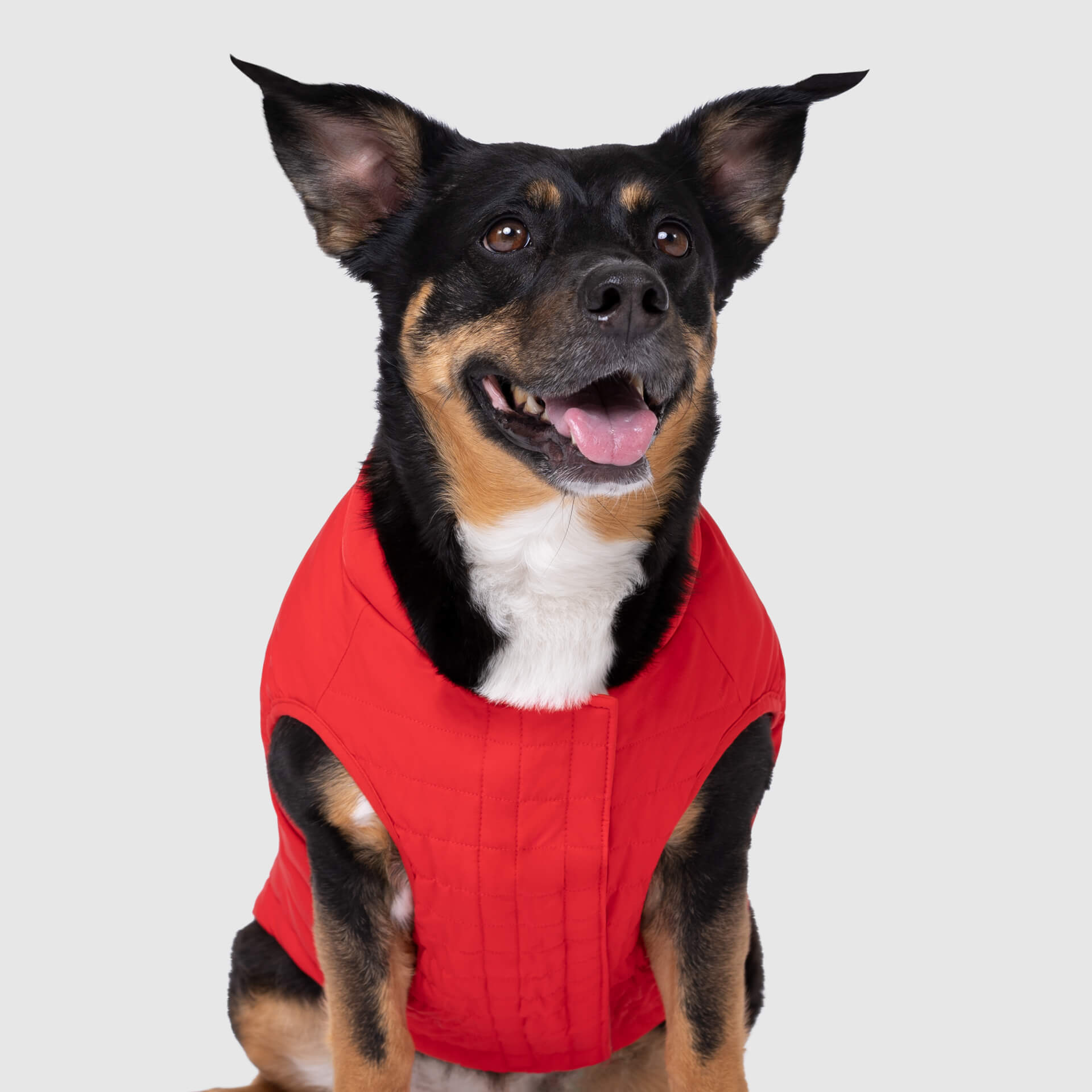 Ultimate Stretch Vest - W1Y1