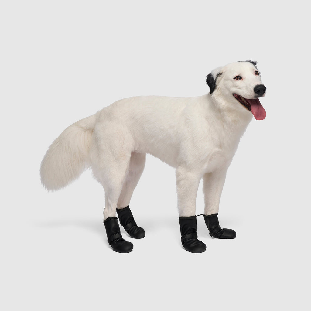 Waterproof Rain Boots - 4Q81
