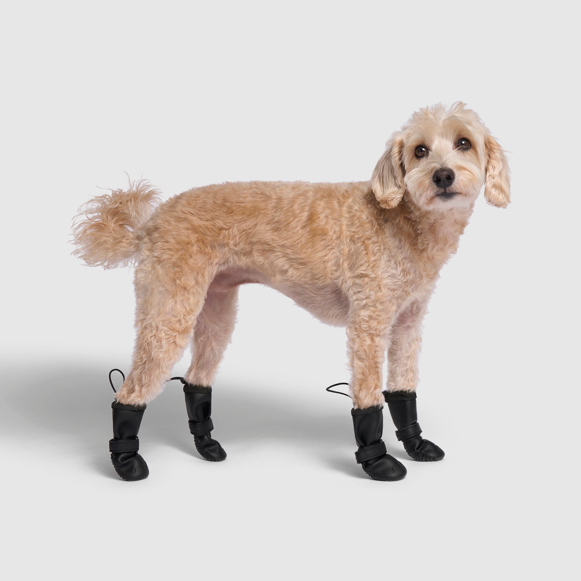 Waterproof Rain Boots - 4Q81