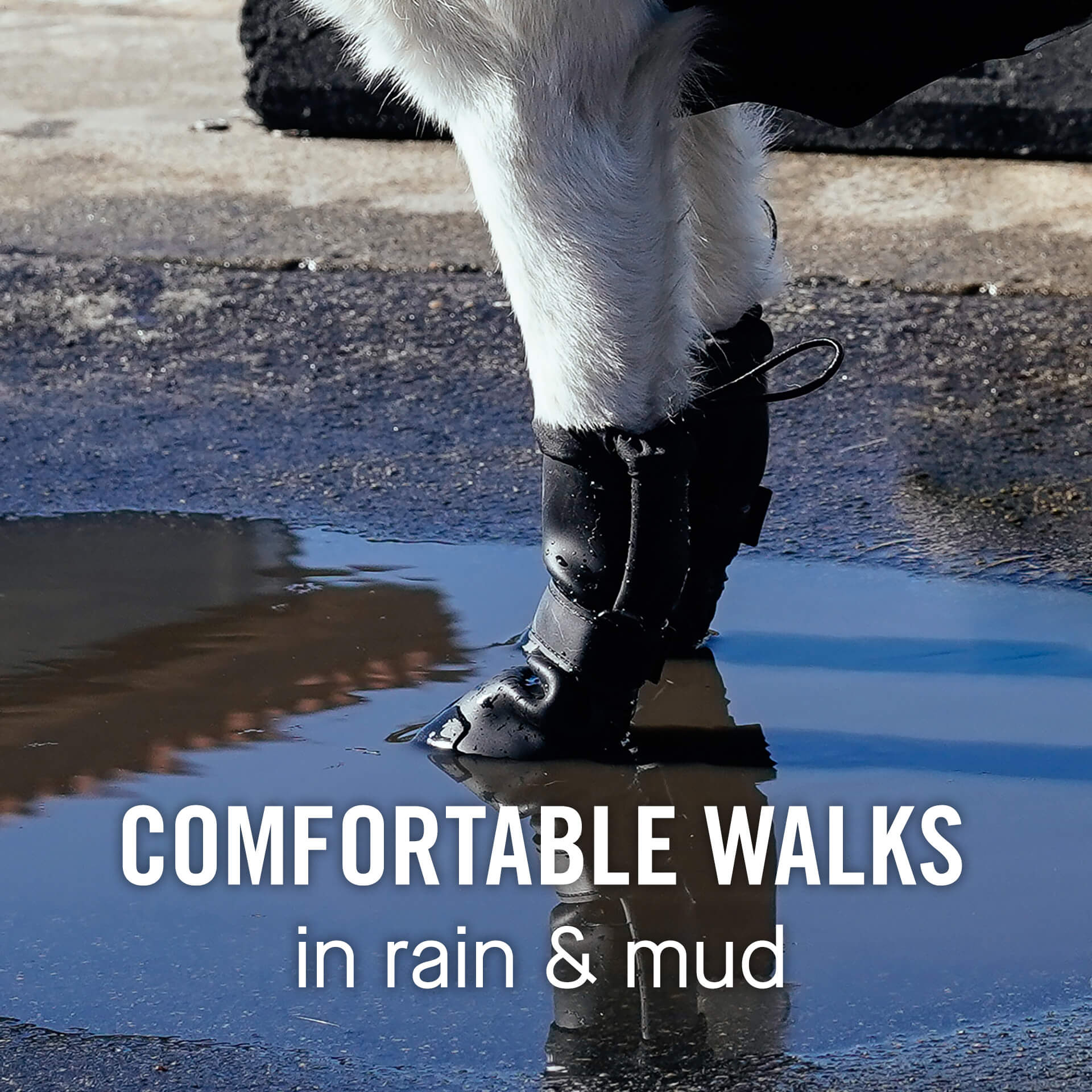 Waterproof Rain Boots - 4Q81