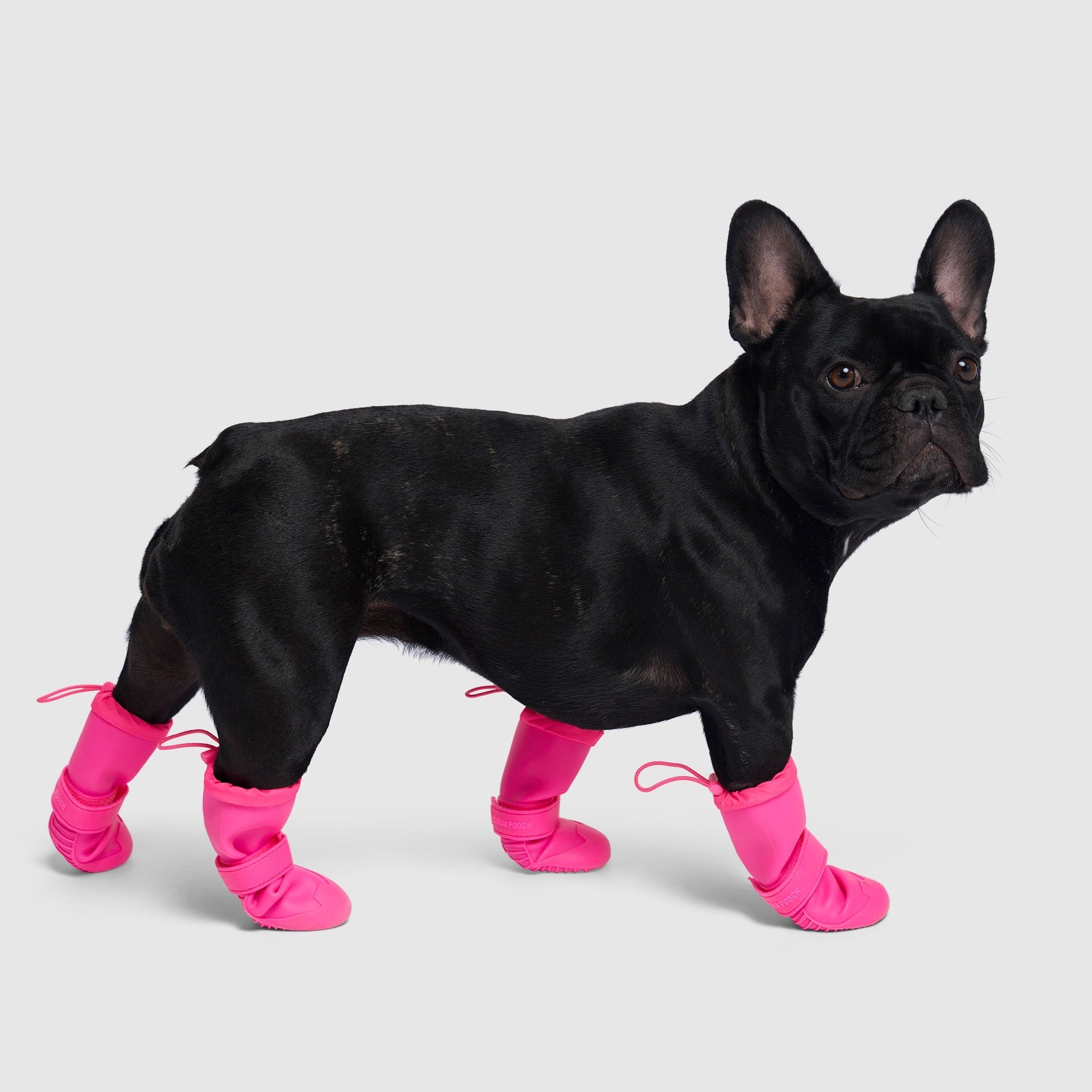 Waterproof Rain Boots - 4Q81