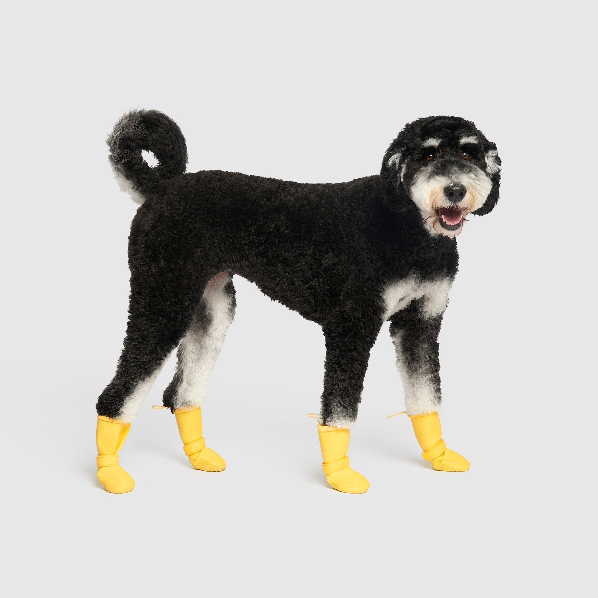 Waterproof Rain Boots - 4Q81