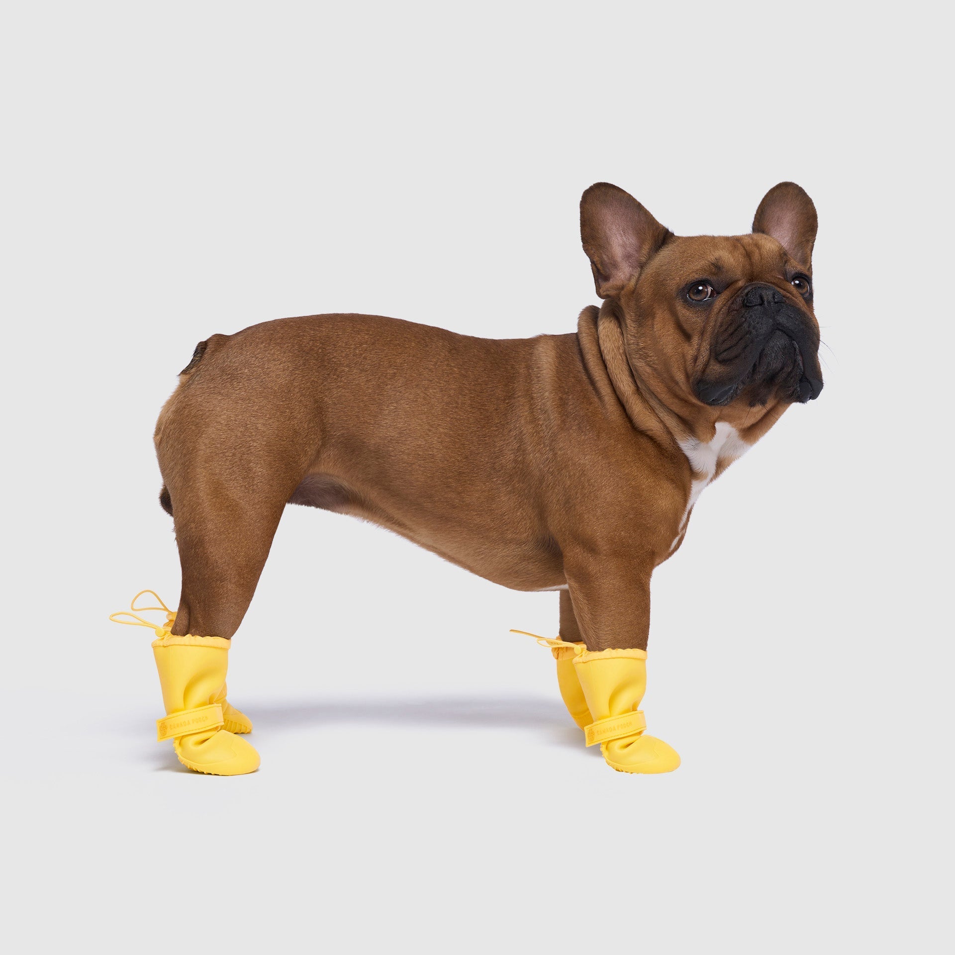 Waterproof Rain Boots - 4Q81
