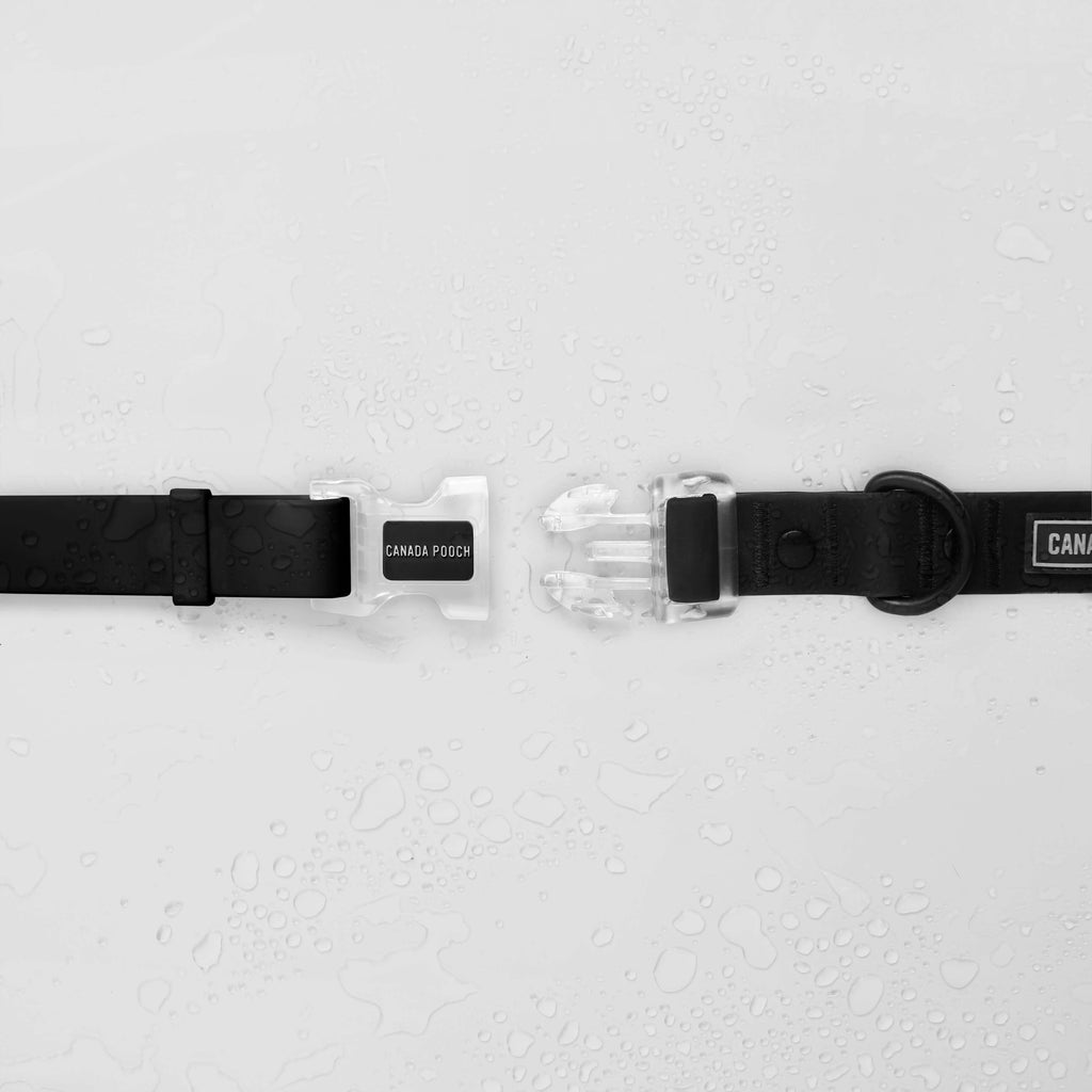 Waterproof Collar - MEF4