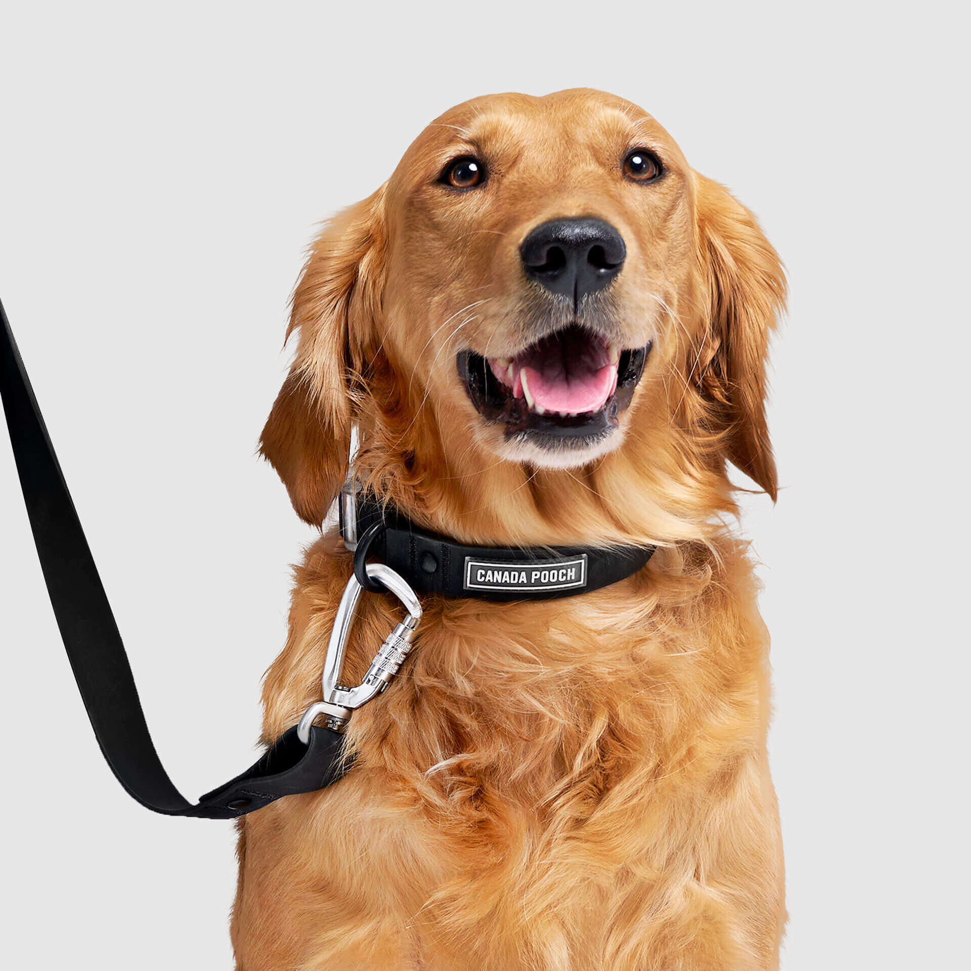 Waterproof Collar - MEF4