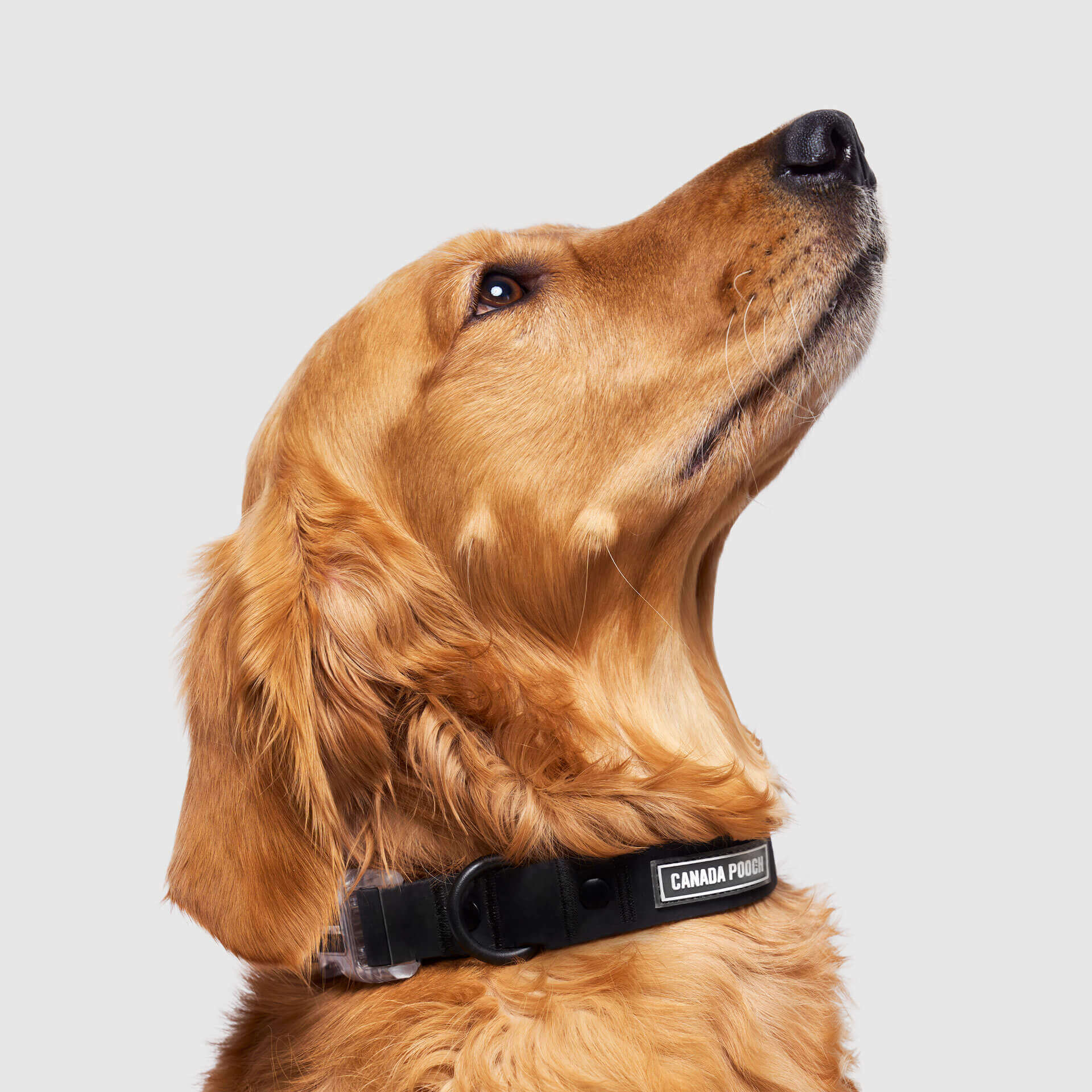 Waterproof Collar - MEF4