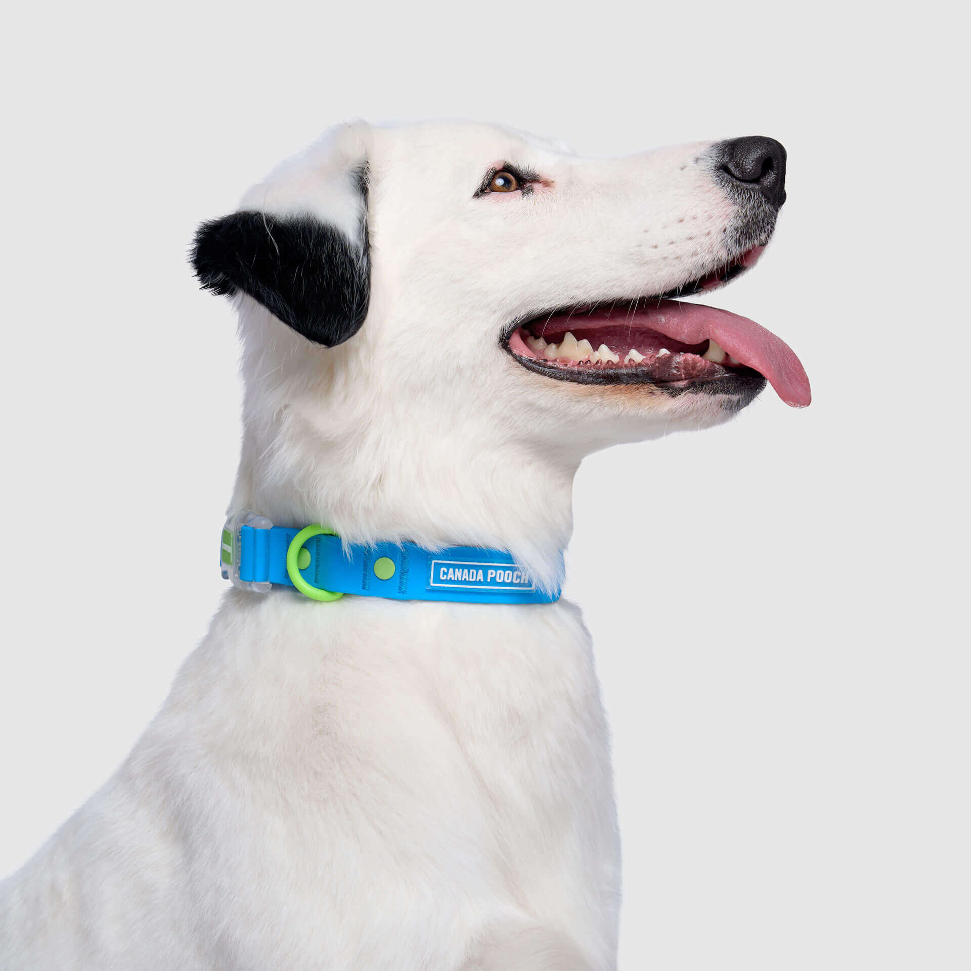 Waterproof Collar - MEF4