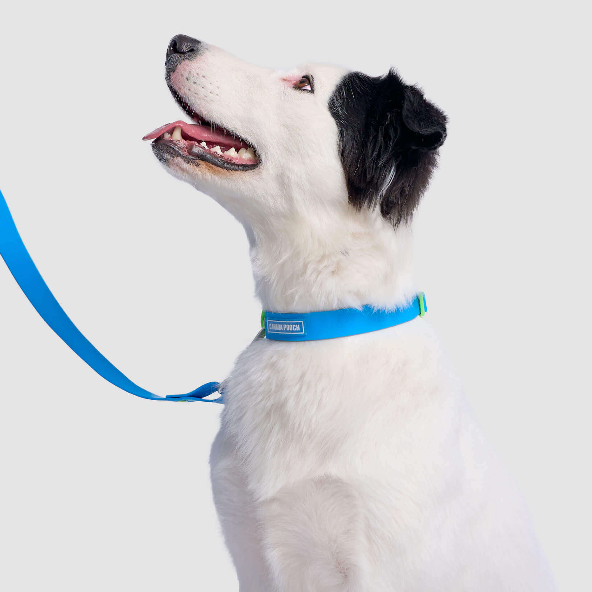 Waterproof Collar - MEF4