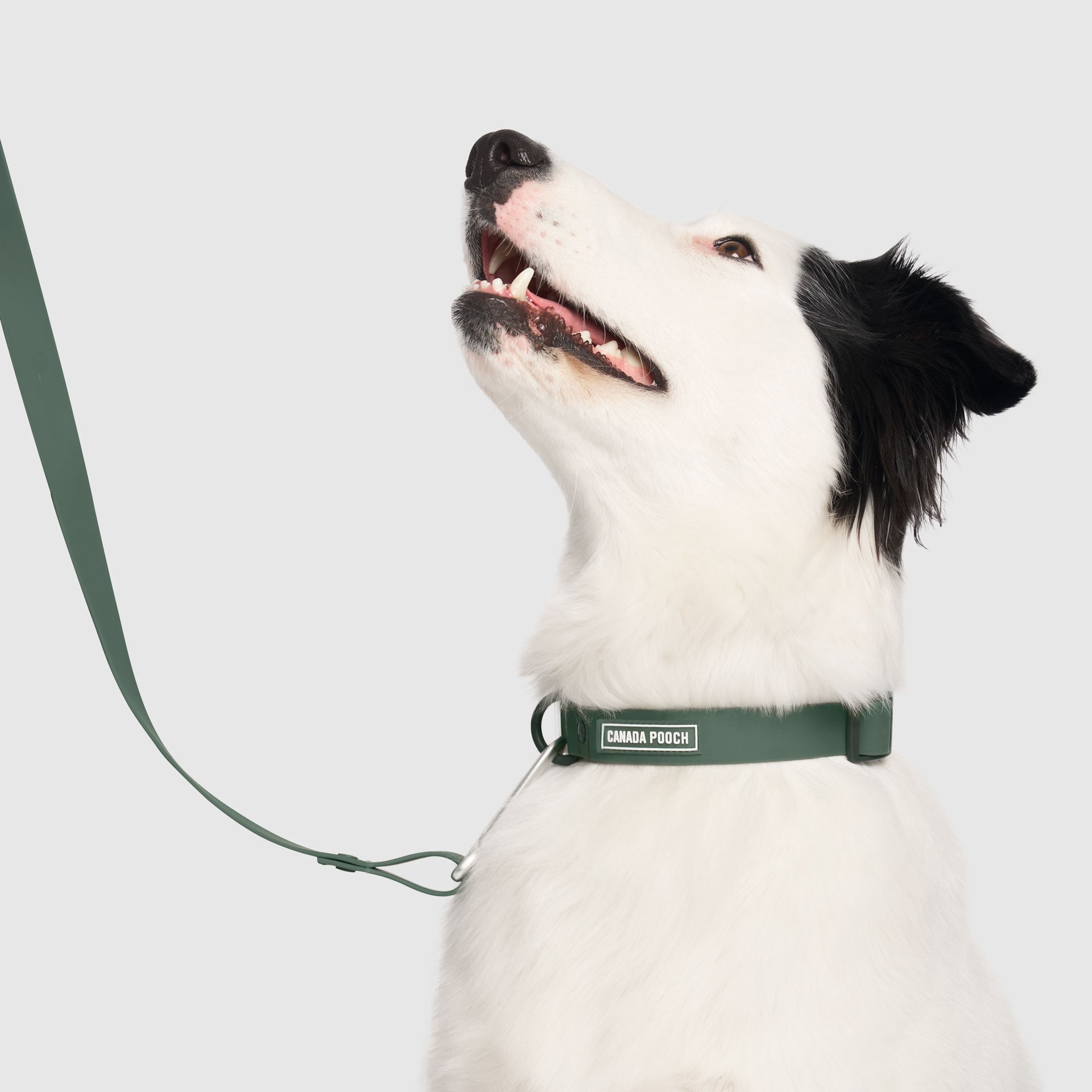 Waterproof Collar - MEF4