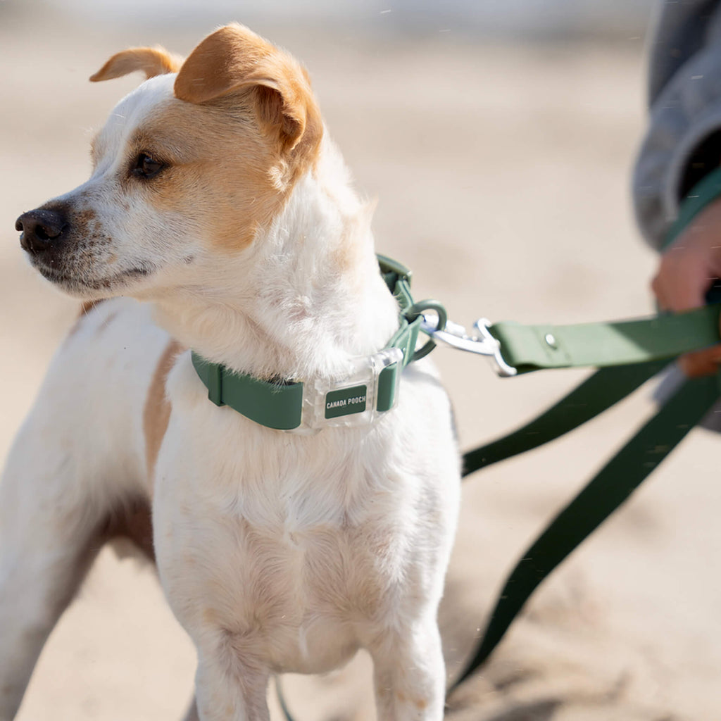Waterproof Collar - MEF4
