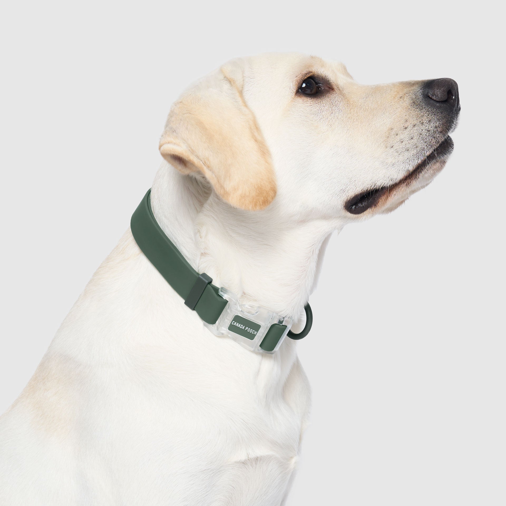 Waterproof Collar - MEF4