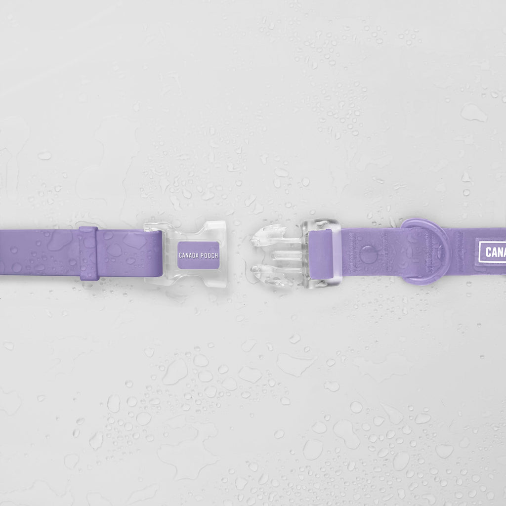 Waterproof Collar - MEF4