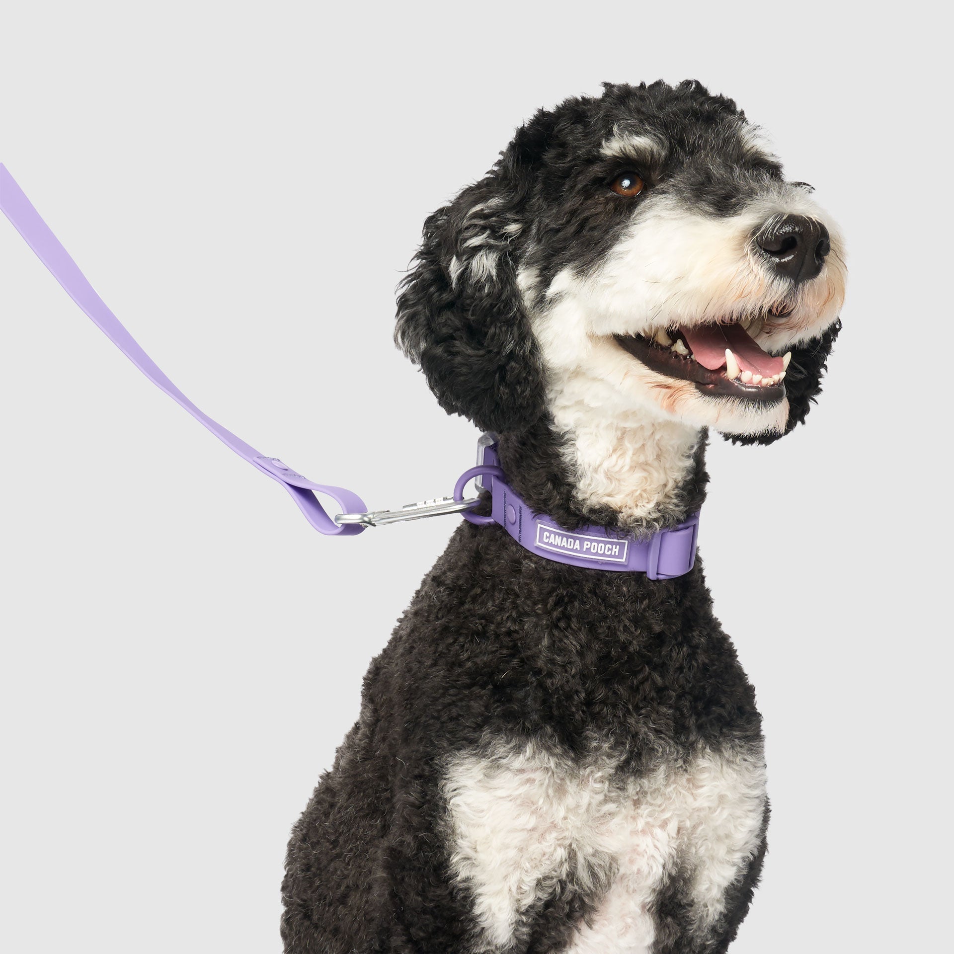 Waterproof Collar - MEF4