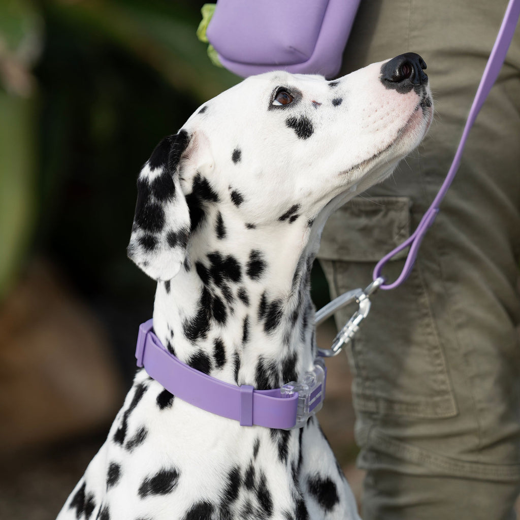Waterproof Collar - MEF4