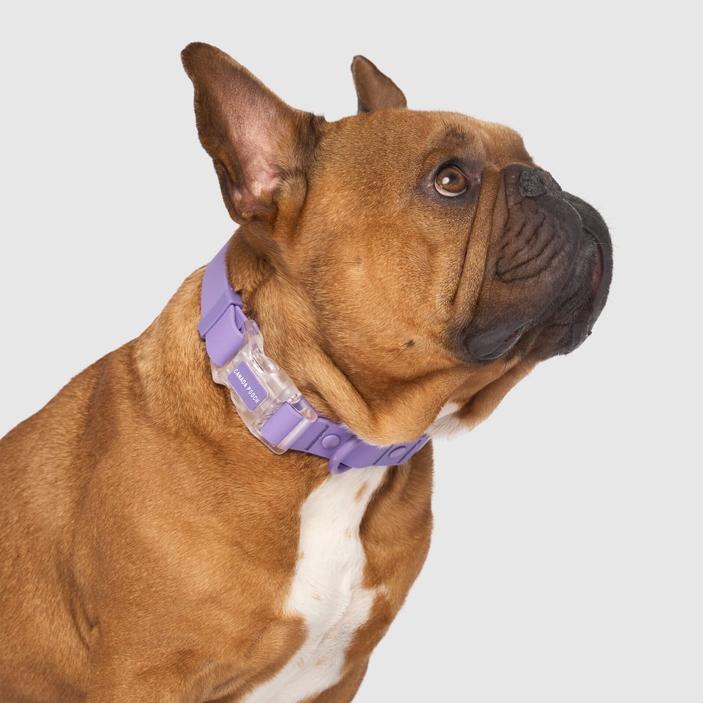 Waterproof Collar - MEF4