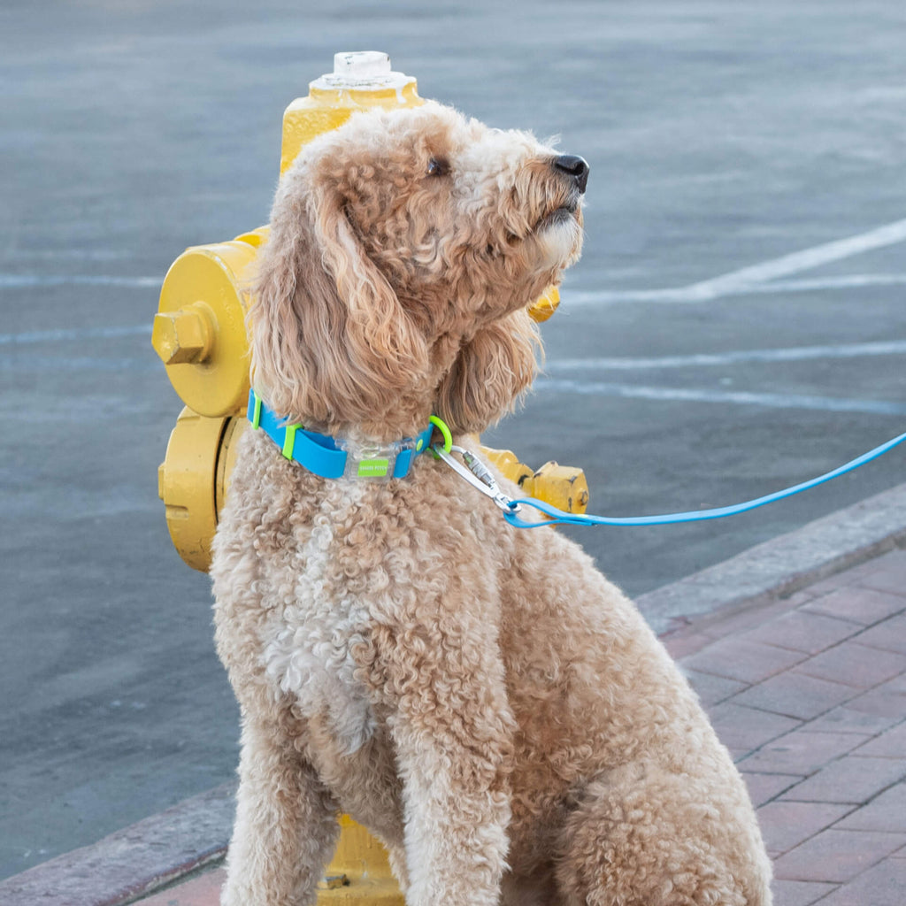 Waterproof Collar - MEF4